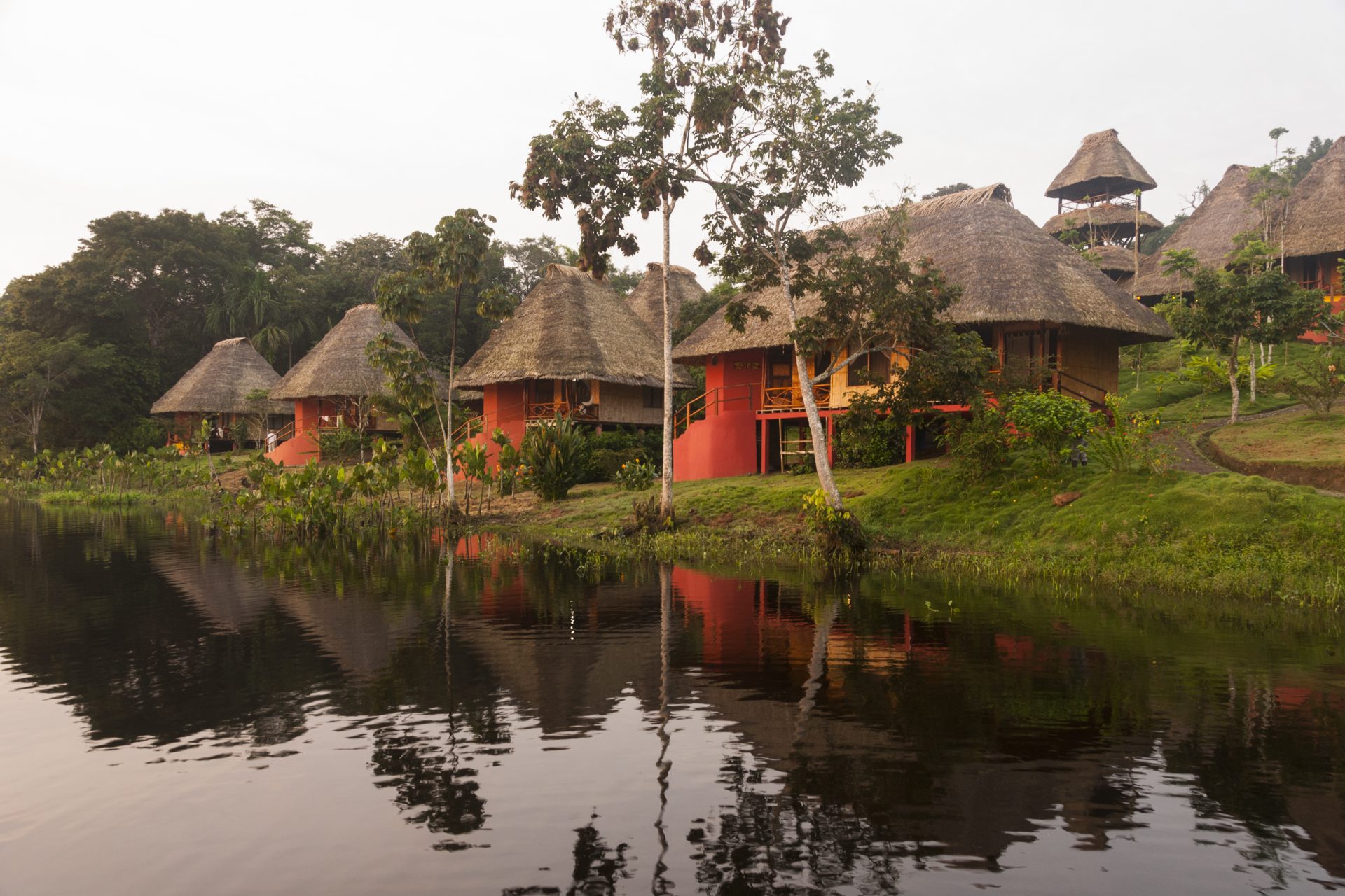 Napo Wildlife Center Ecolodge, Yasuni National Park (Ecuador)