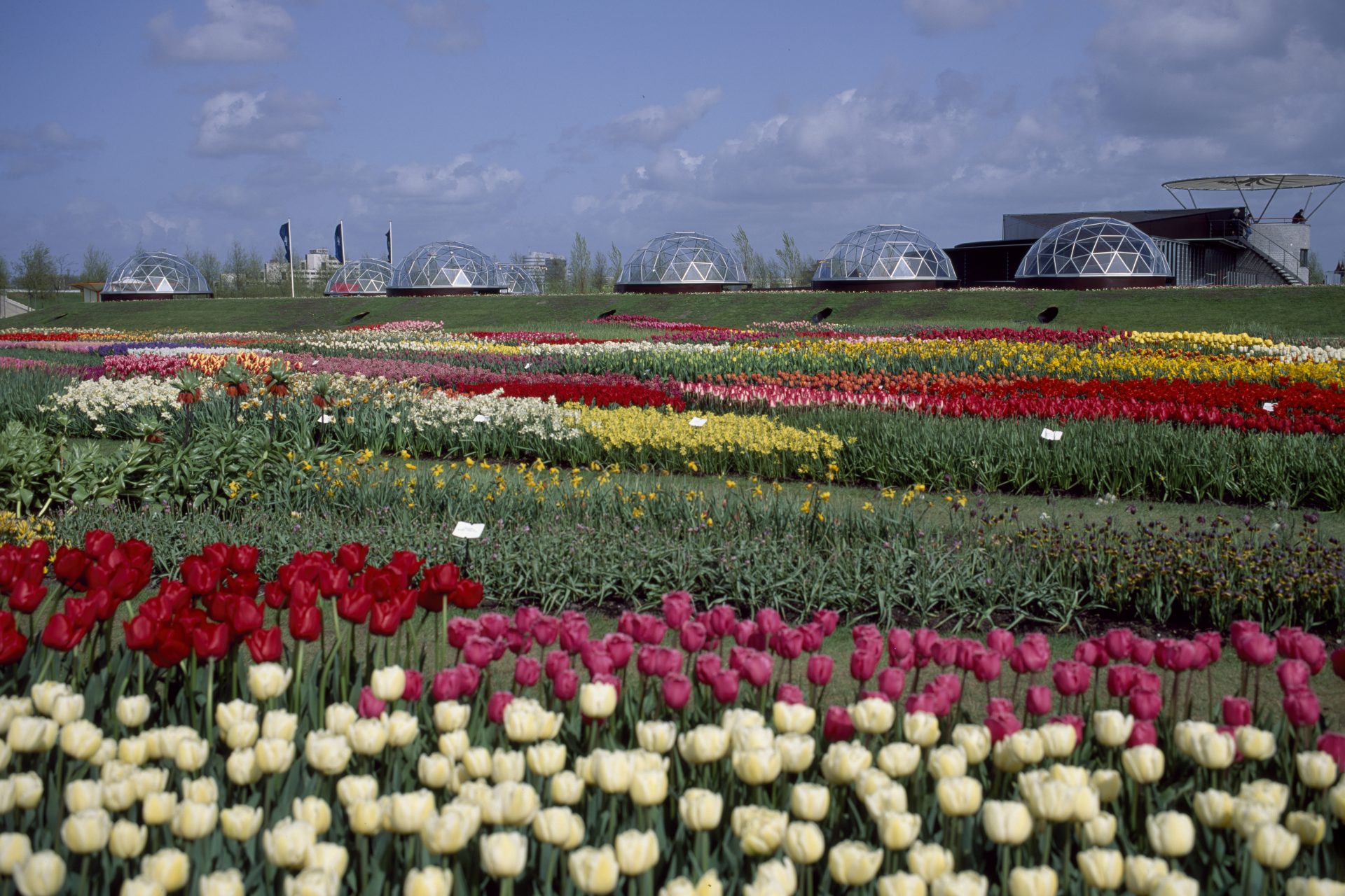 1992 Zoetermeer