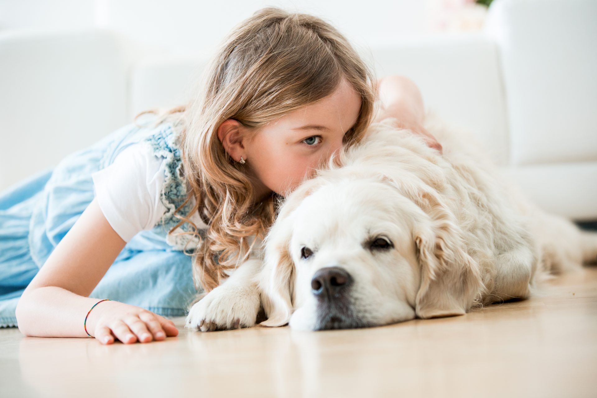 Las mejores razas de perro para niños