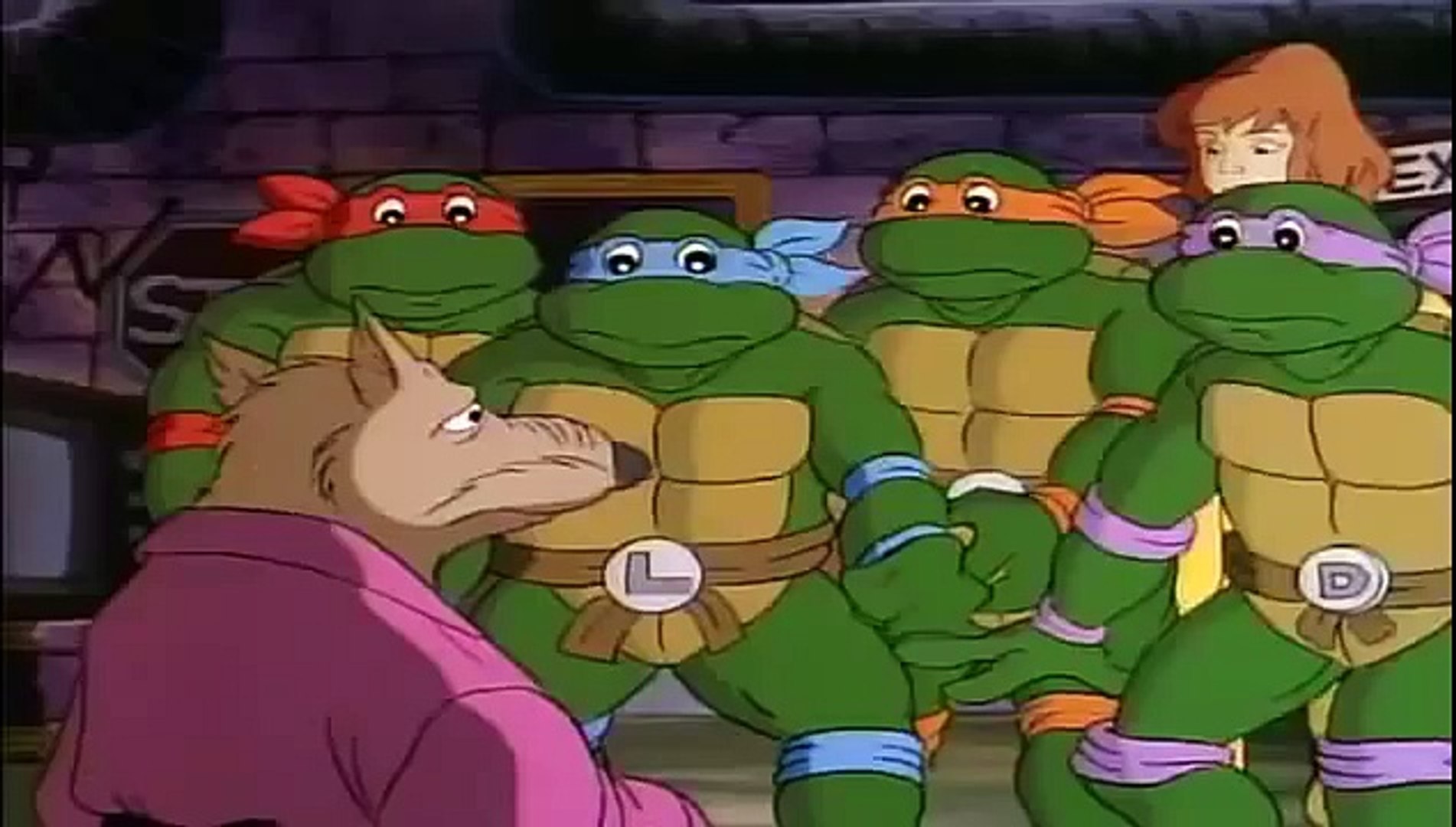 Ninja Turtles: the cartoon