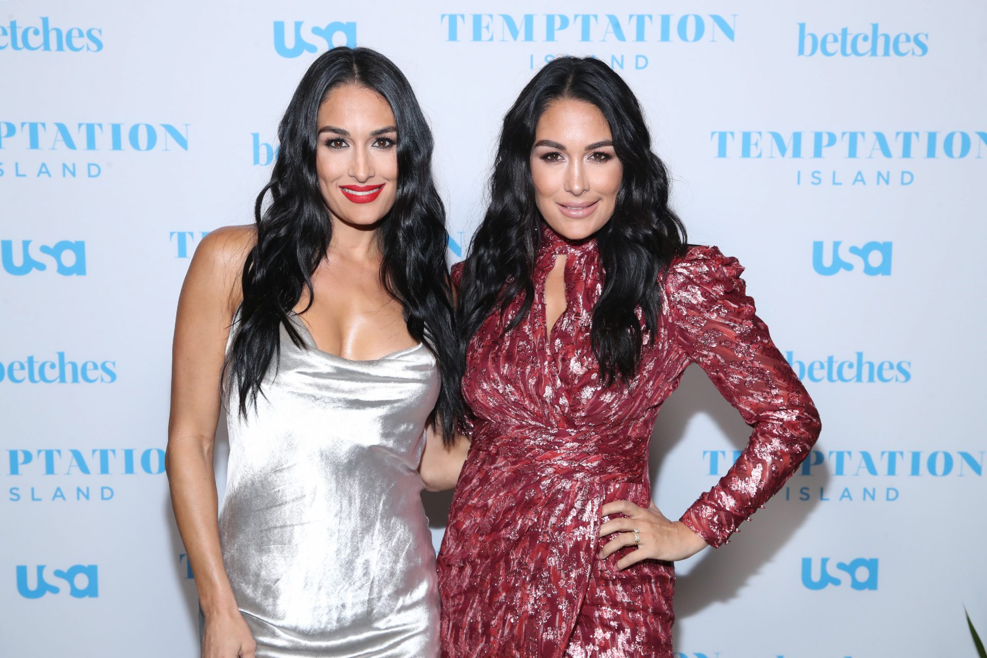 Brie et Nikki Bella, aujourd'hui