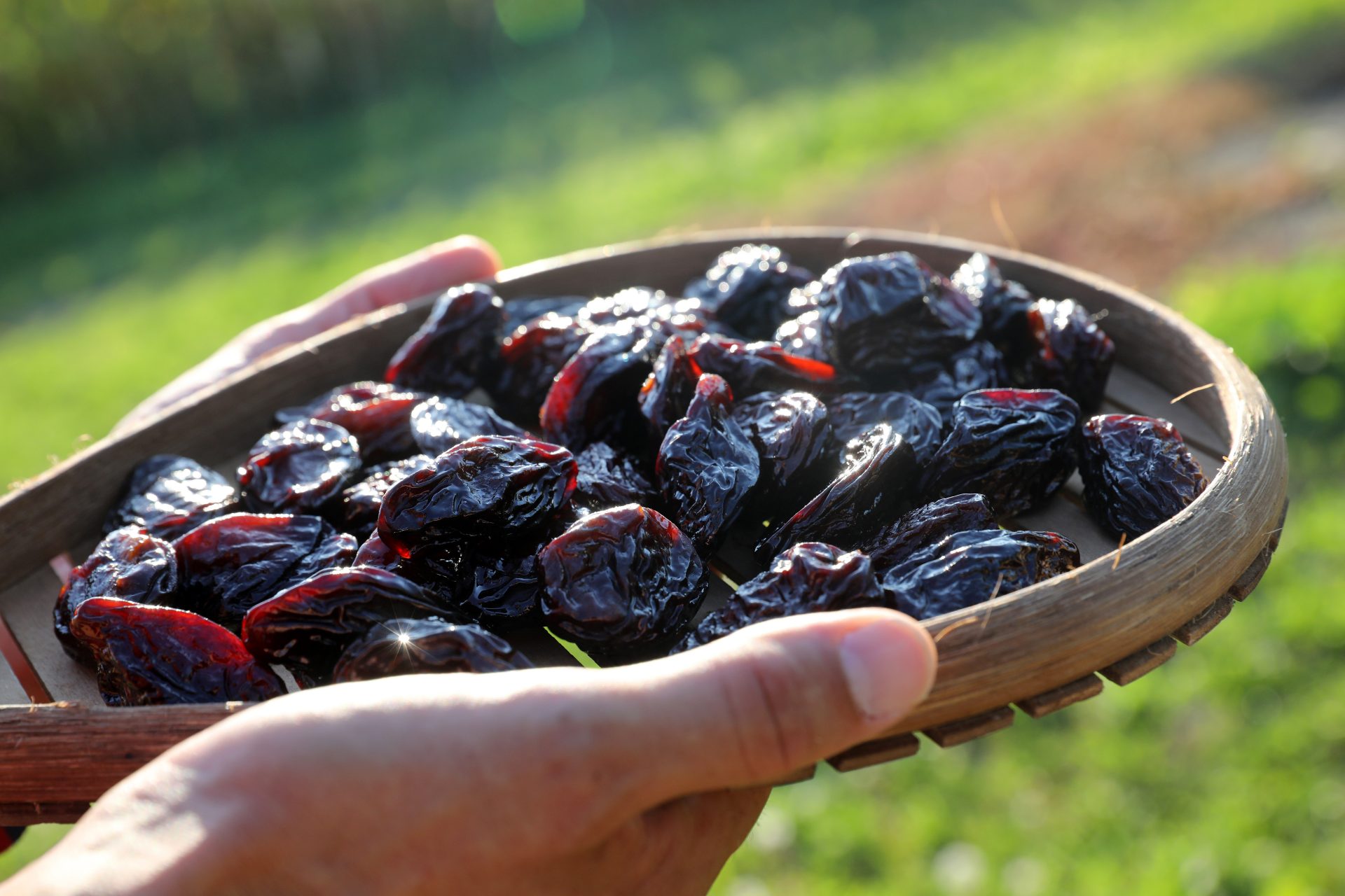 Let prunes be thy medicine: They're good for your bones
