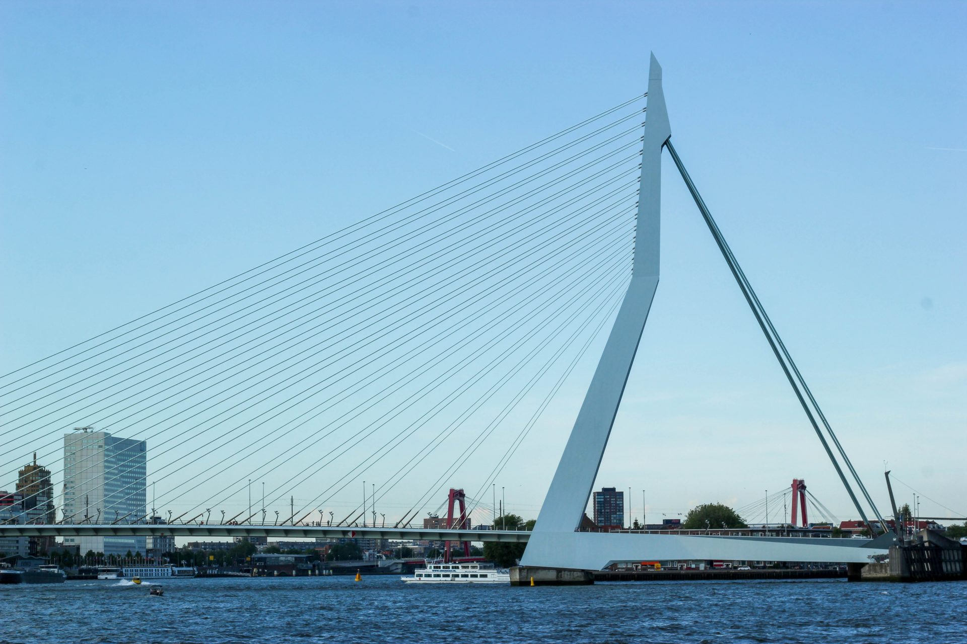Erasmus Bridge - Rotterdam