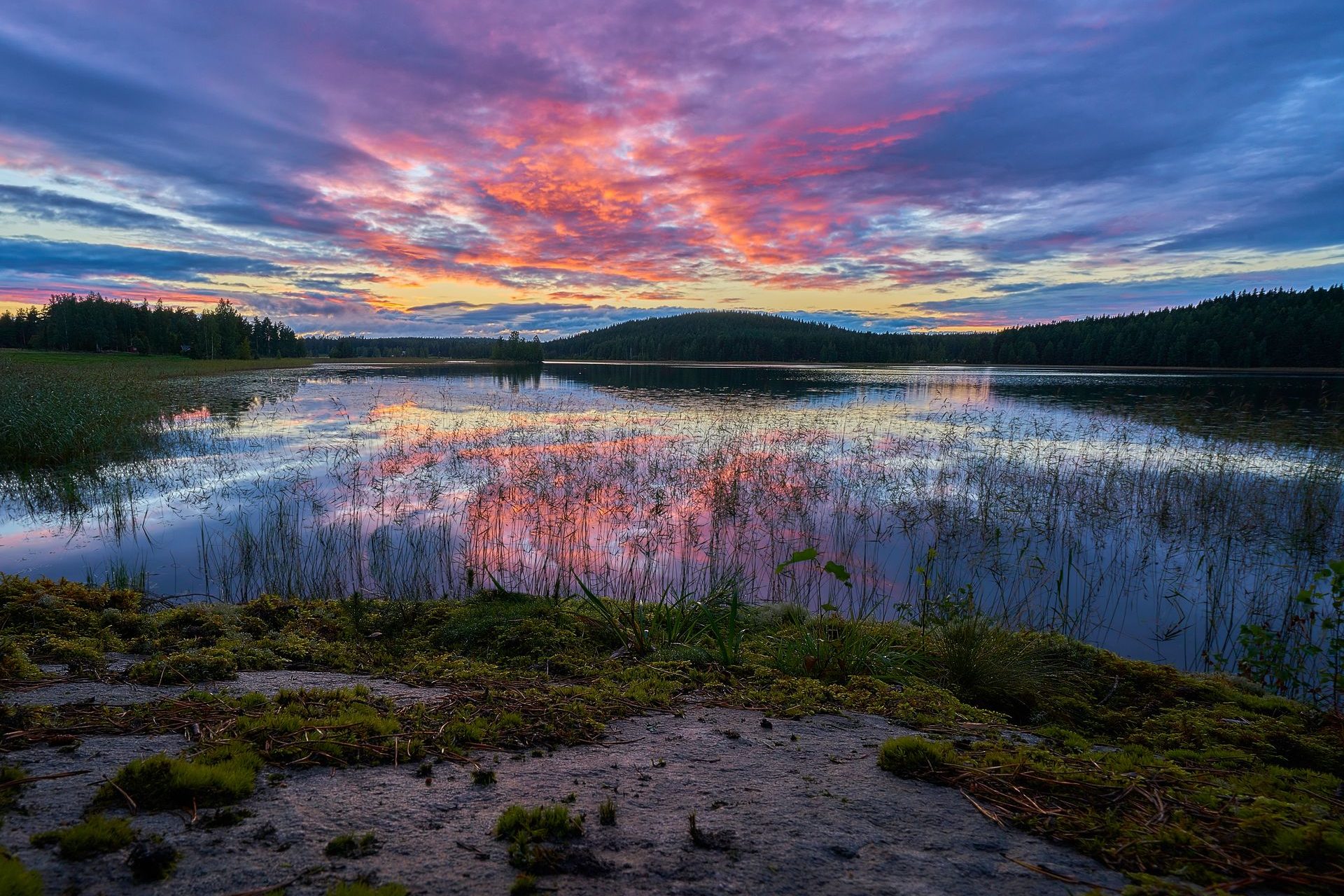 L’appel du grand Nord : voici 15 bonnes raisons de voyager en Finlande !