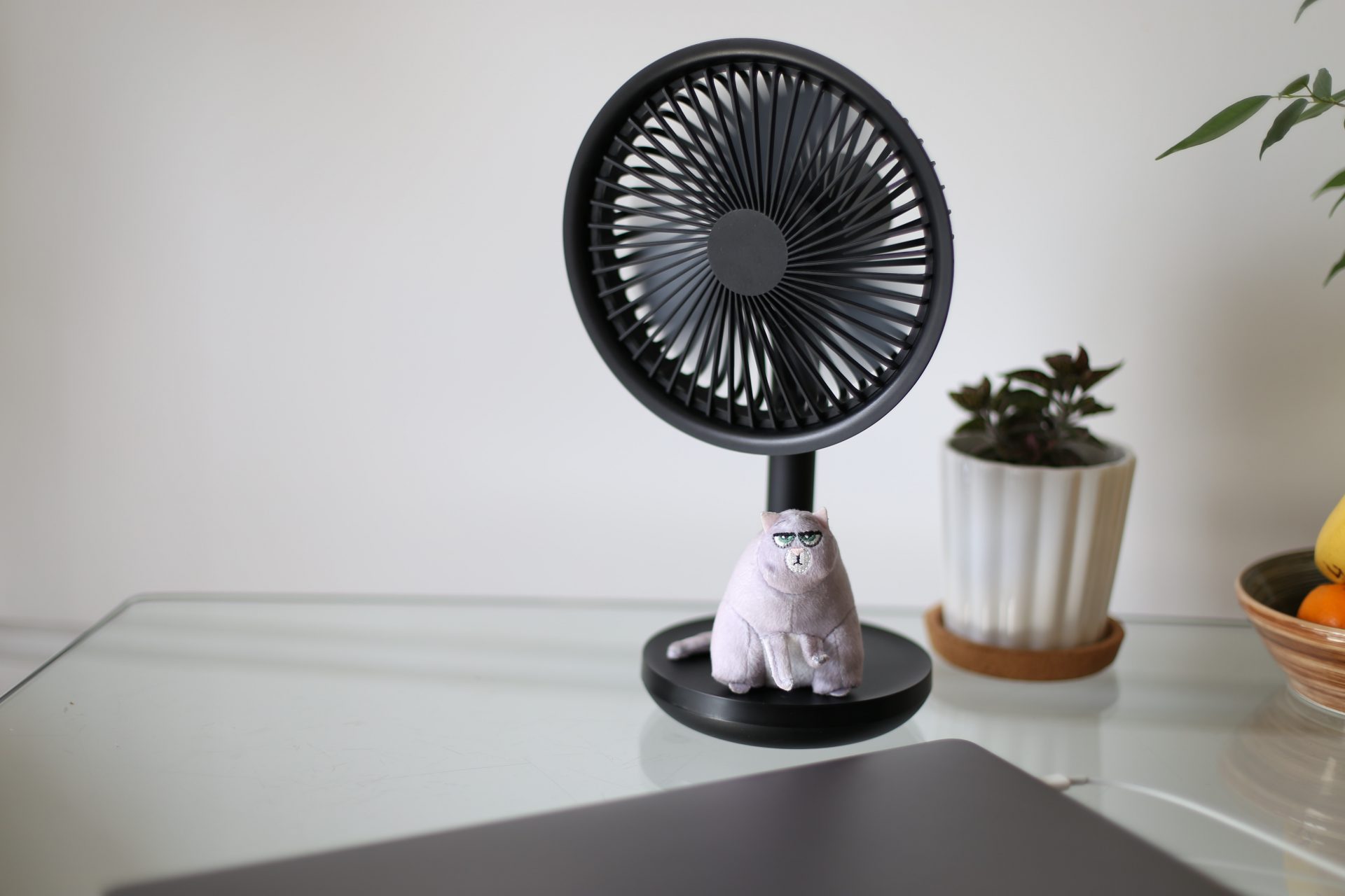 Les ventilateurs, une solution ?