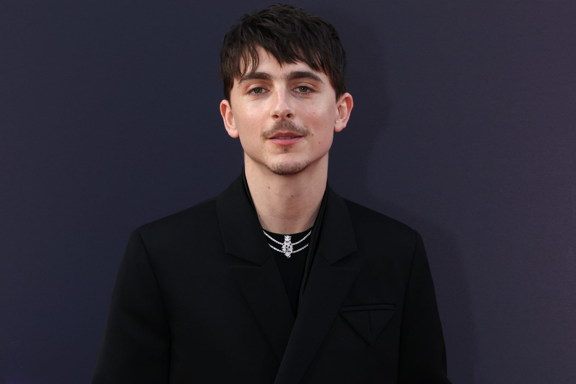 Timothée Chalamet, en route pour son premier Oscar ?