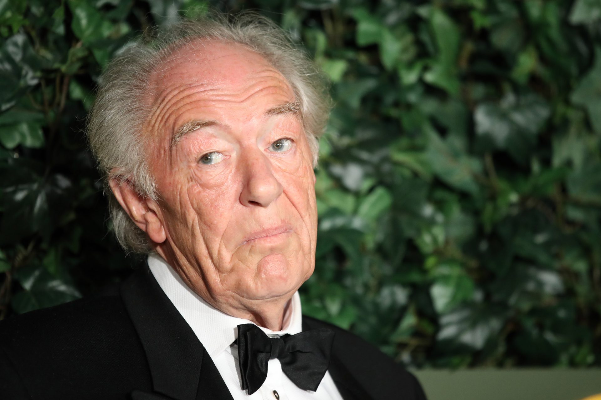 Goodbye to Sir Michael Gambon, star from Harry Potter, The Singing Detective