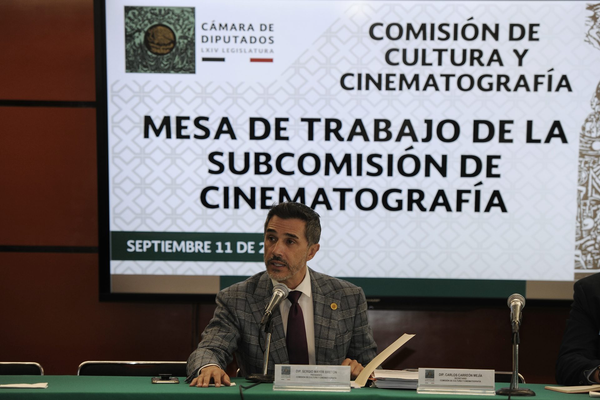 Presidente de la Comisión de Cultura y Cinematografía