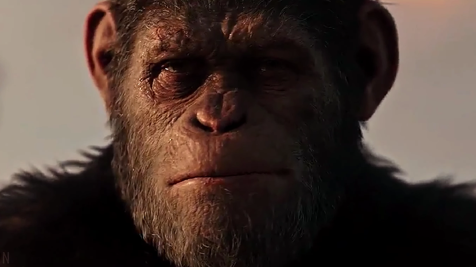 『Kingdom of the Planet of the Apes』（『猿の惑星』シリーズ）　