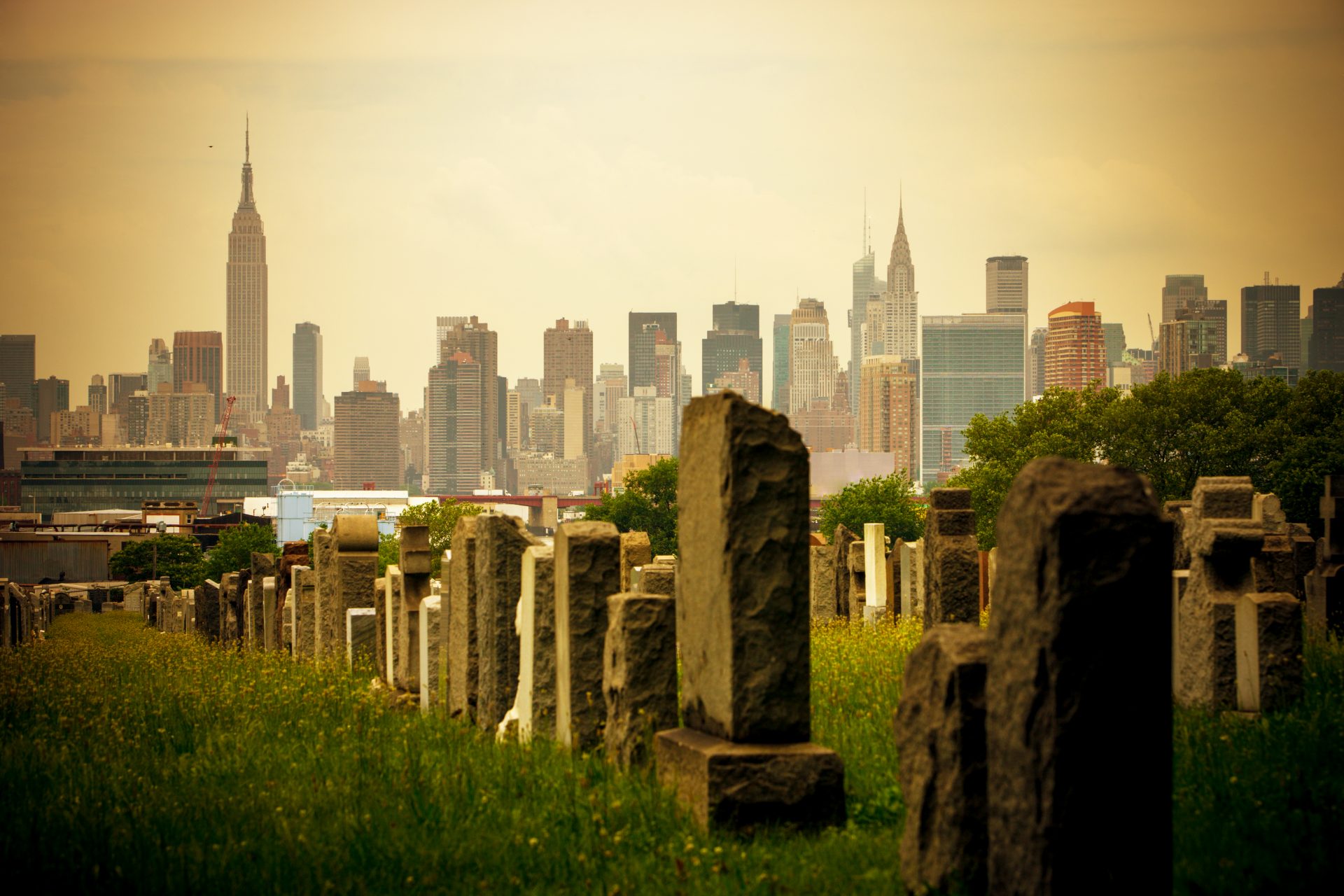 Cimetière Calvary (New York - États-Unis)