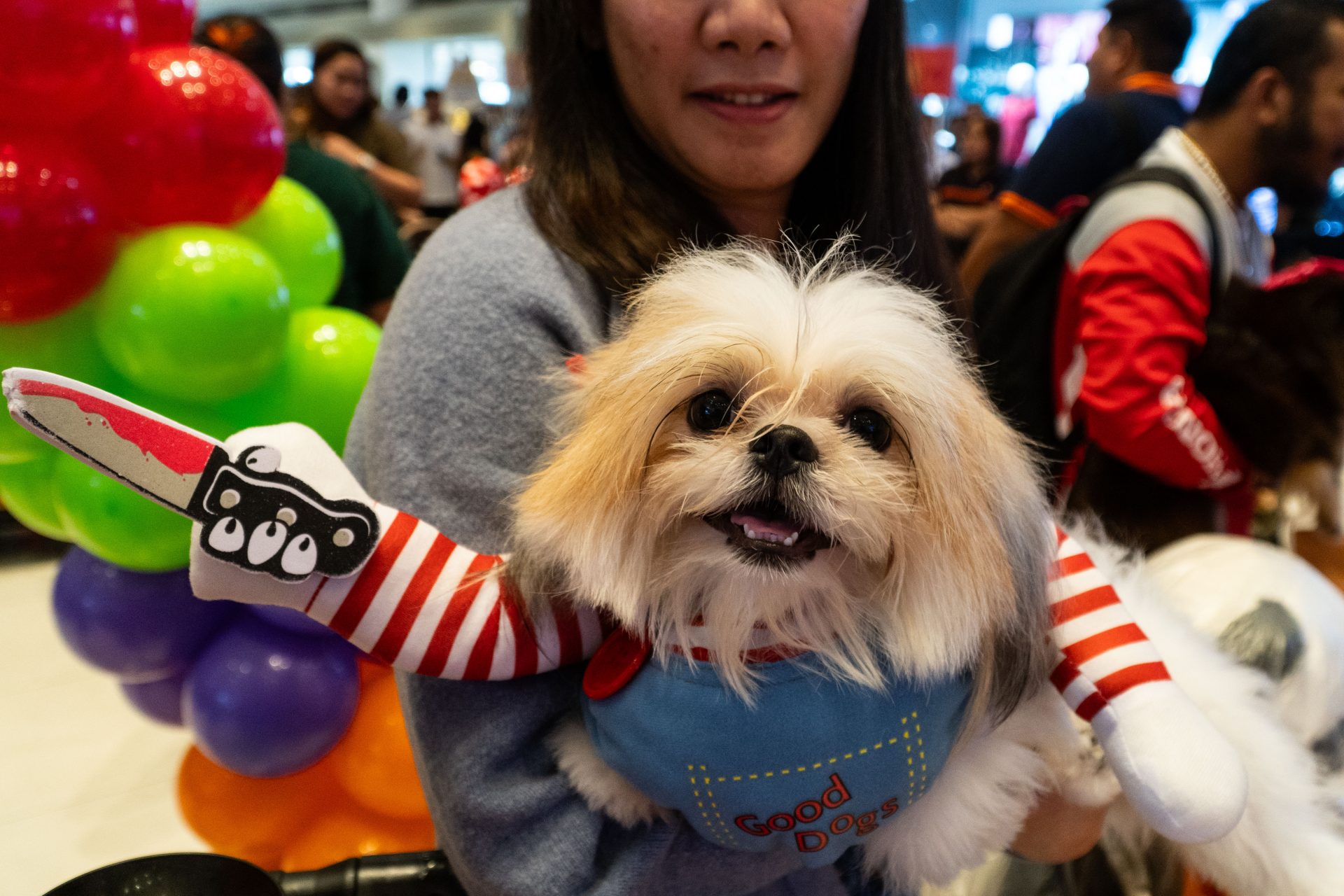 The cutest dogs in disguise for Halloween