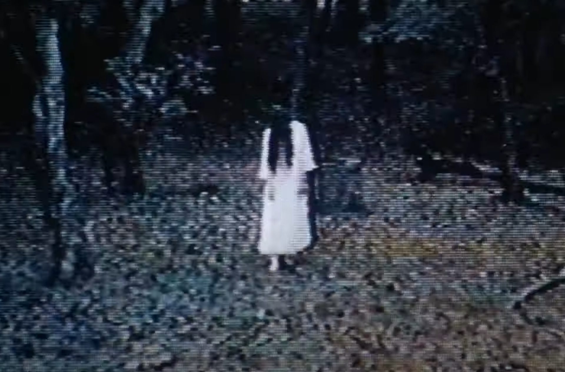 14. 'The Ring' (1998) de Hideo Nakata