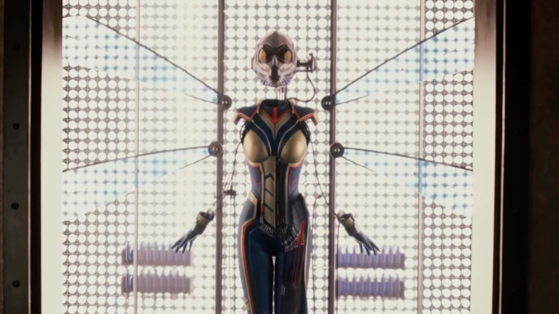 Ant-Man and a wasp to come