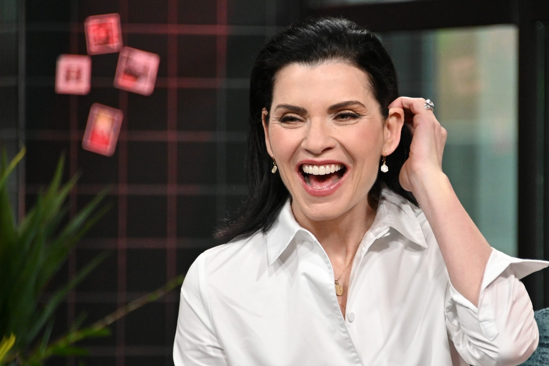 'Sunshine Girl:' ¿Quién es Julianna Margulies?