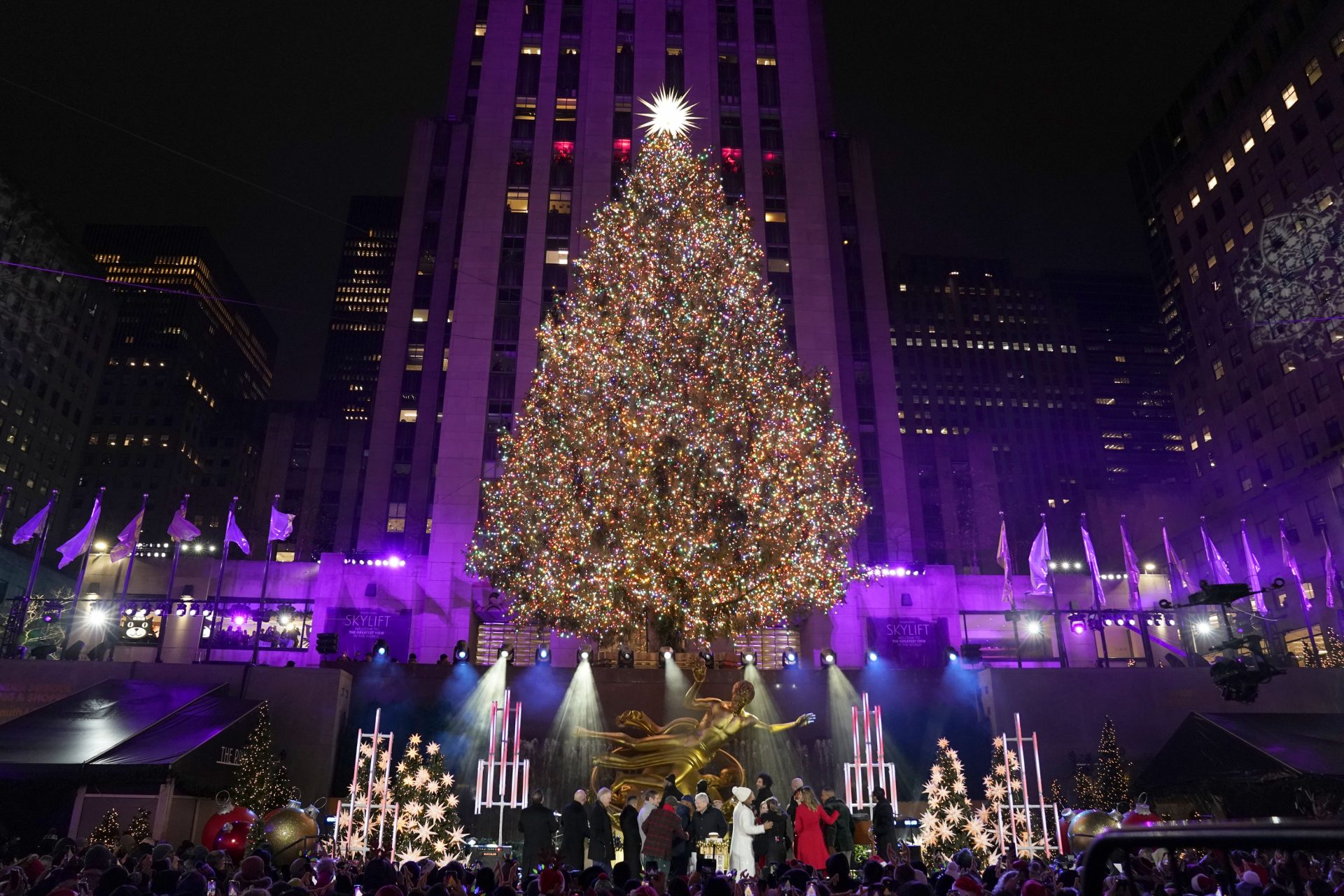 Impressive Christmas trees from around the world