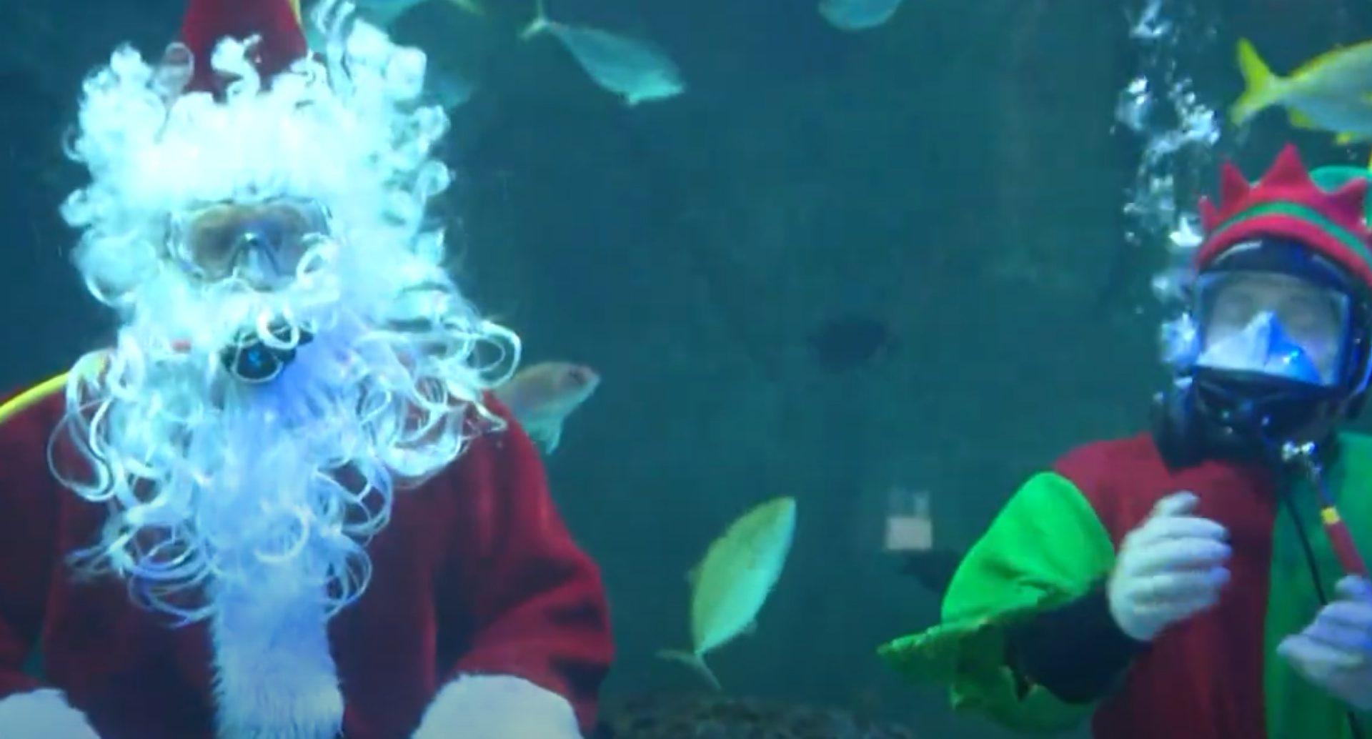 Scuba Claus in St. Louis