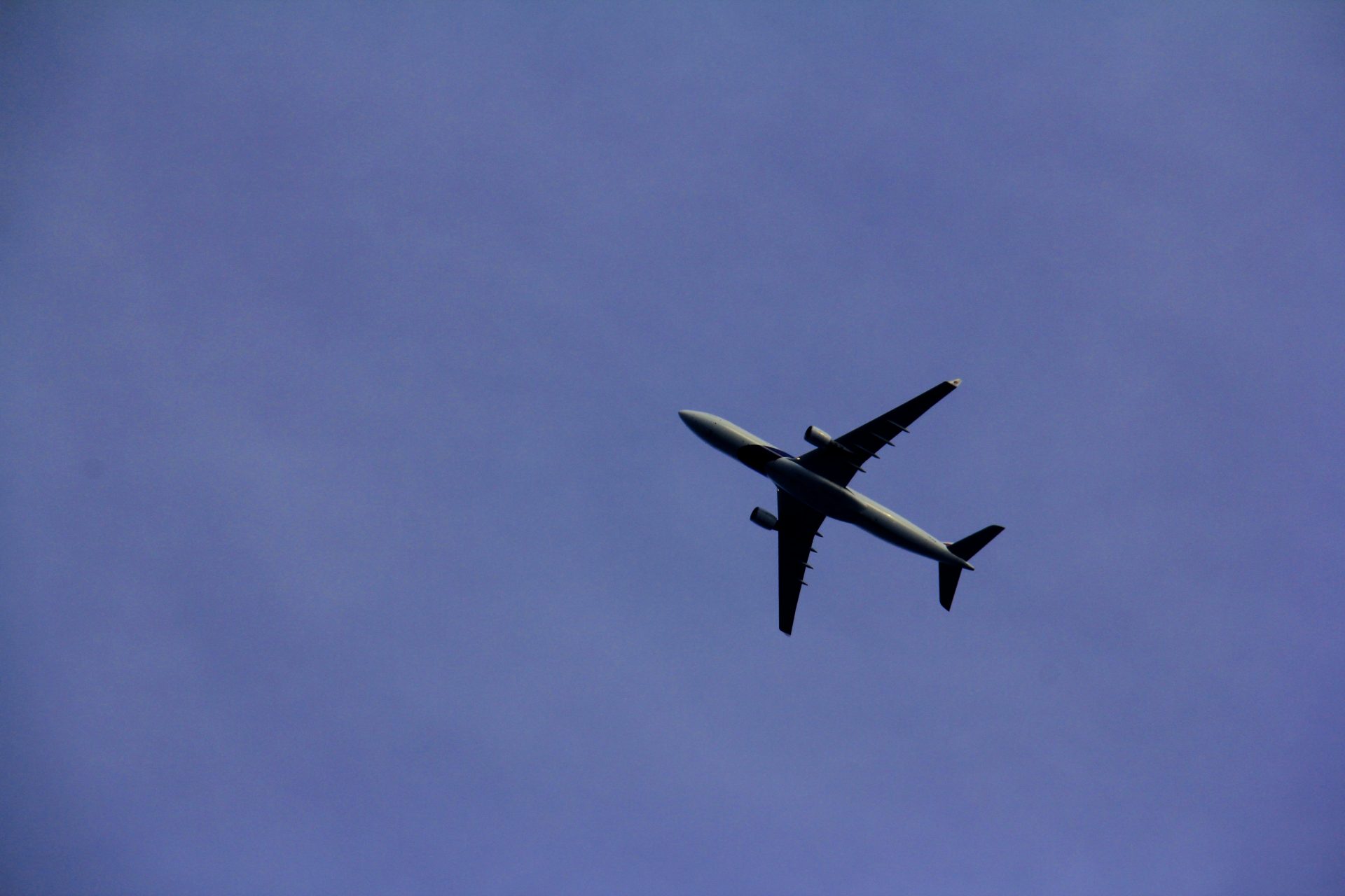 Elle est hôtesse de l'air