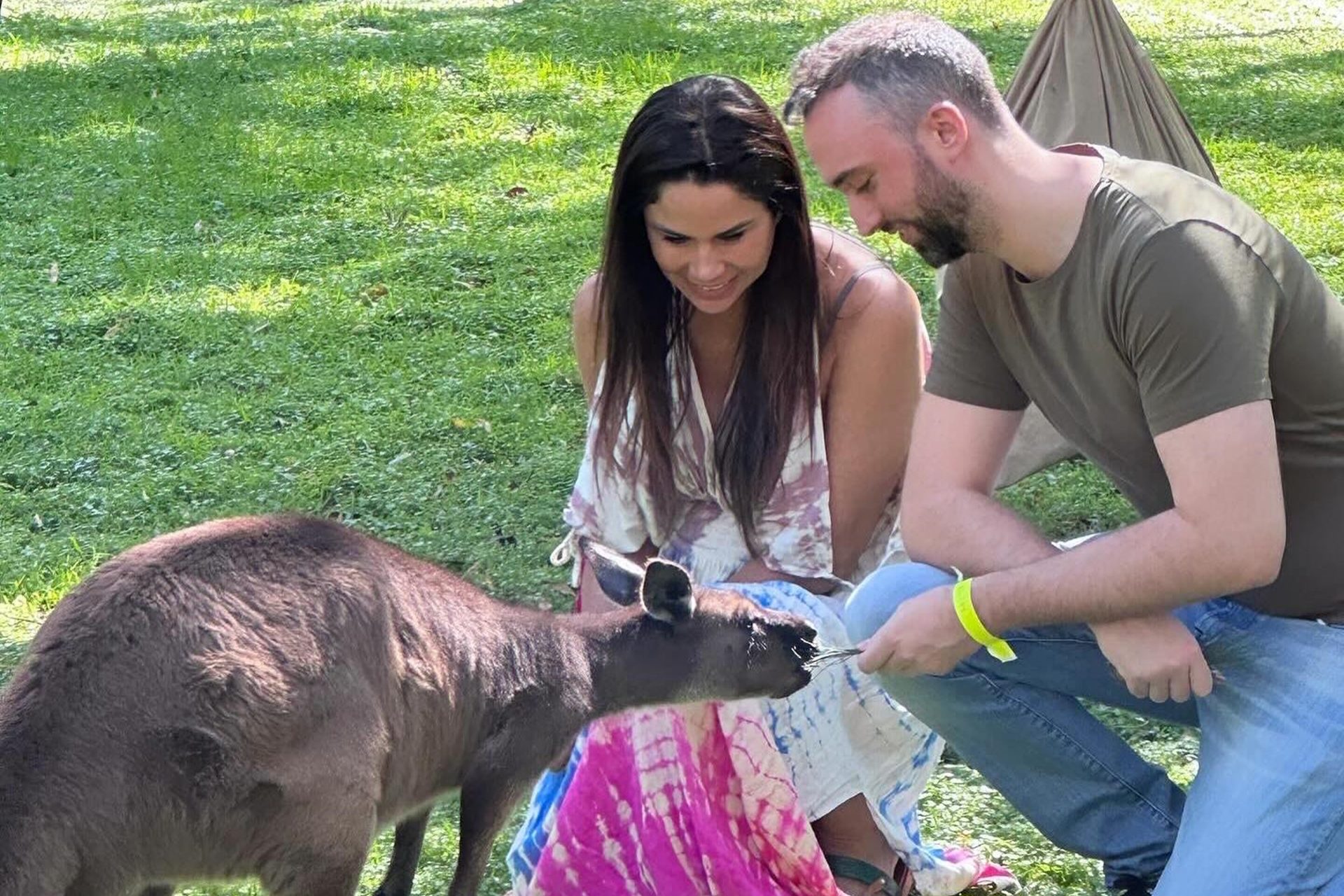 Visitó un santuario de animales 