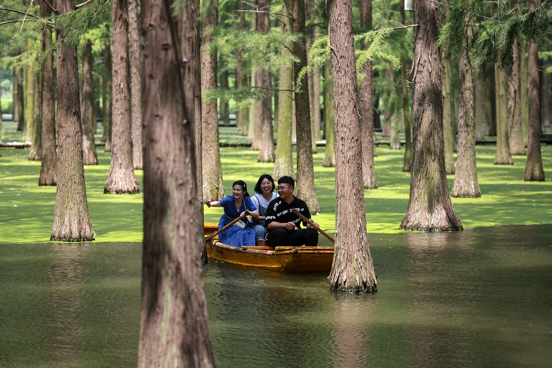 Luyang Lake Wetland Park in Yangzhou