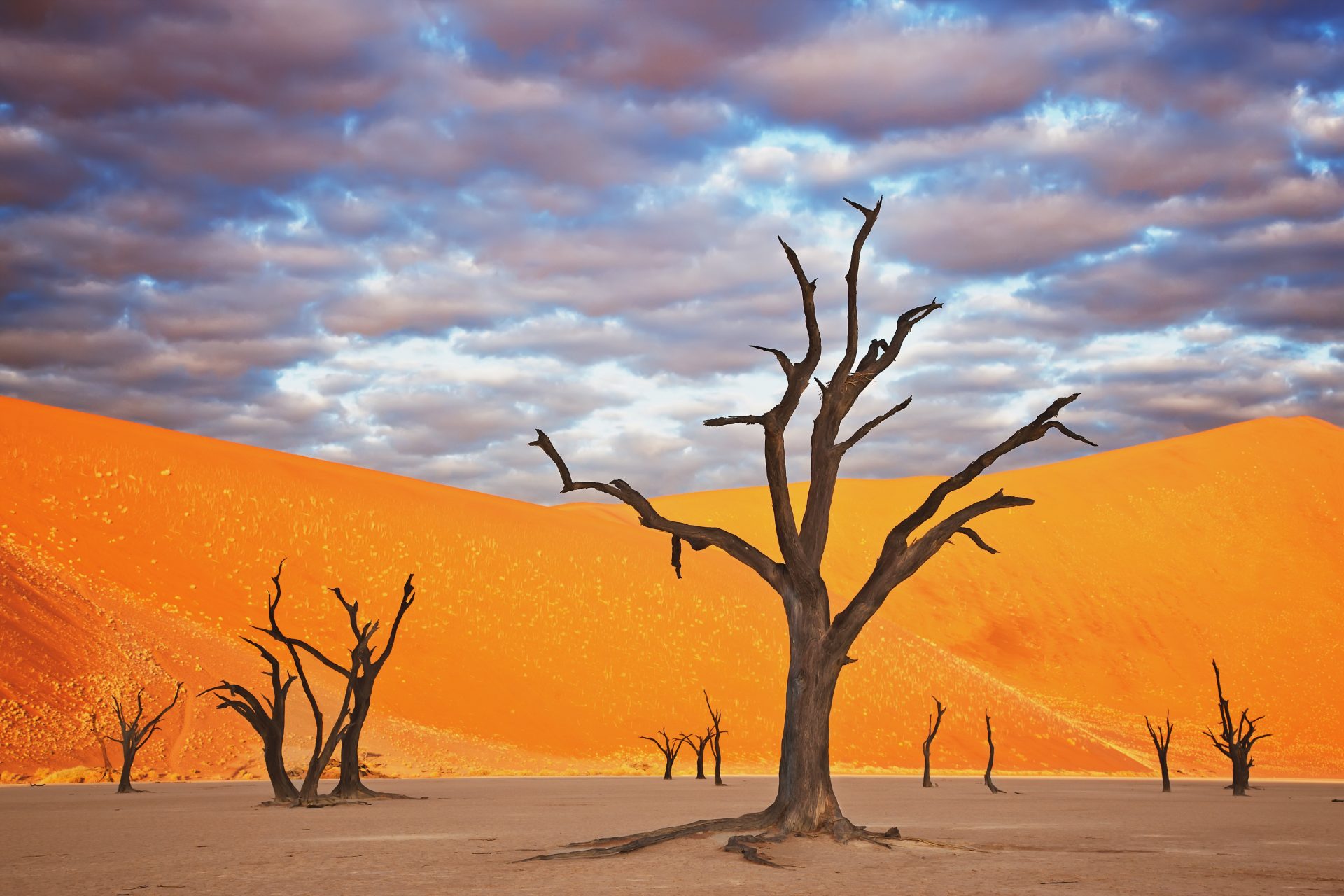 Parque Namib-Naukluft, Namíbia 