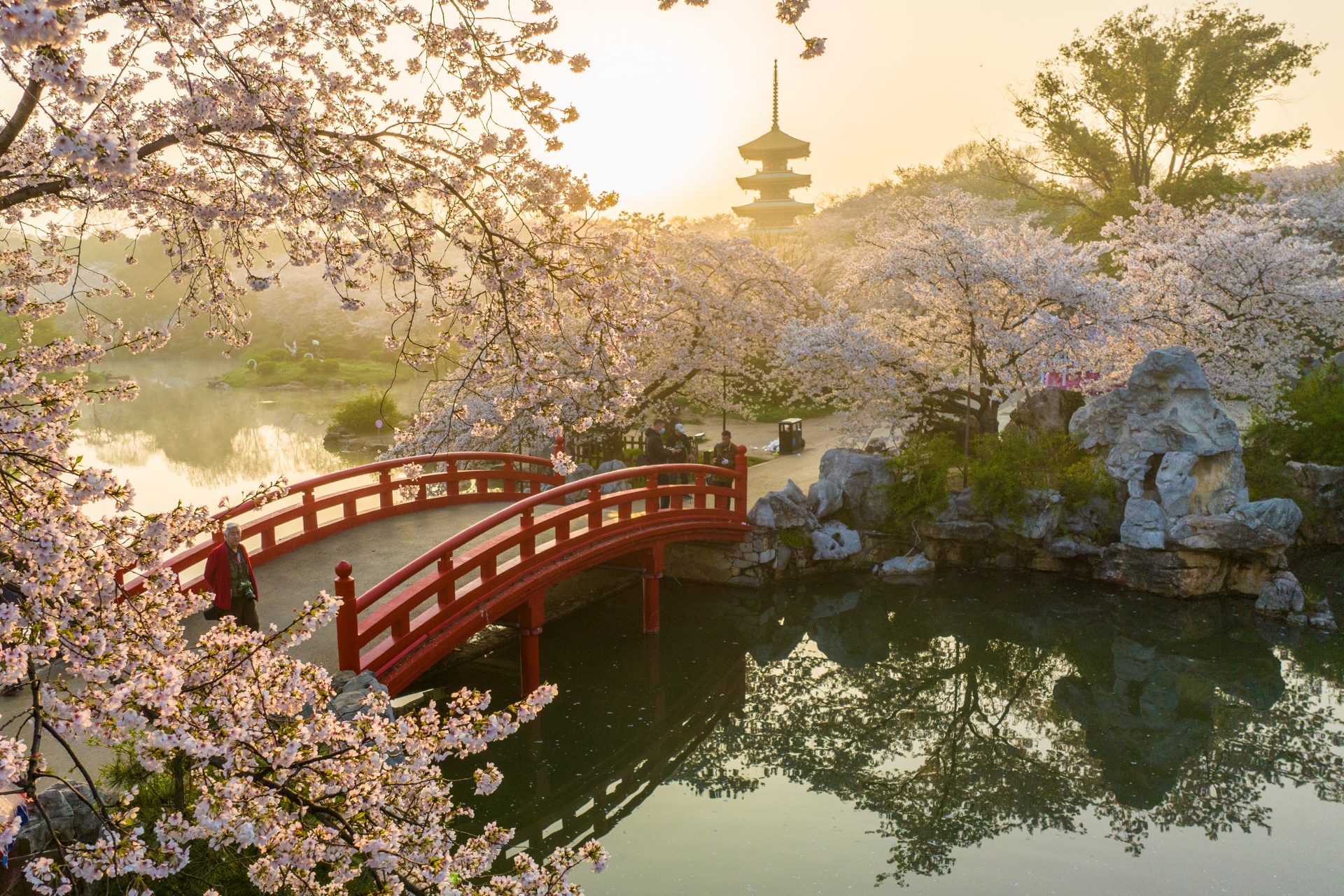 East Lake Cherry Garden