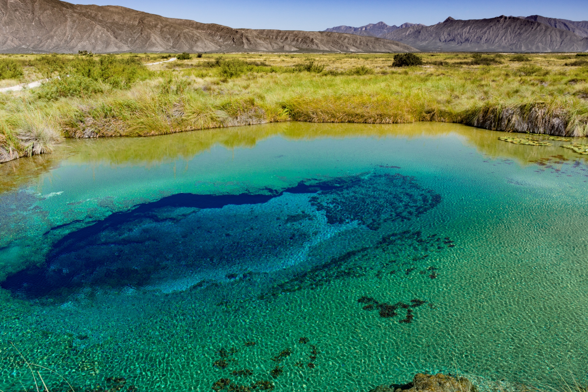 Coahuila: El legado prehistórico más importante del país 