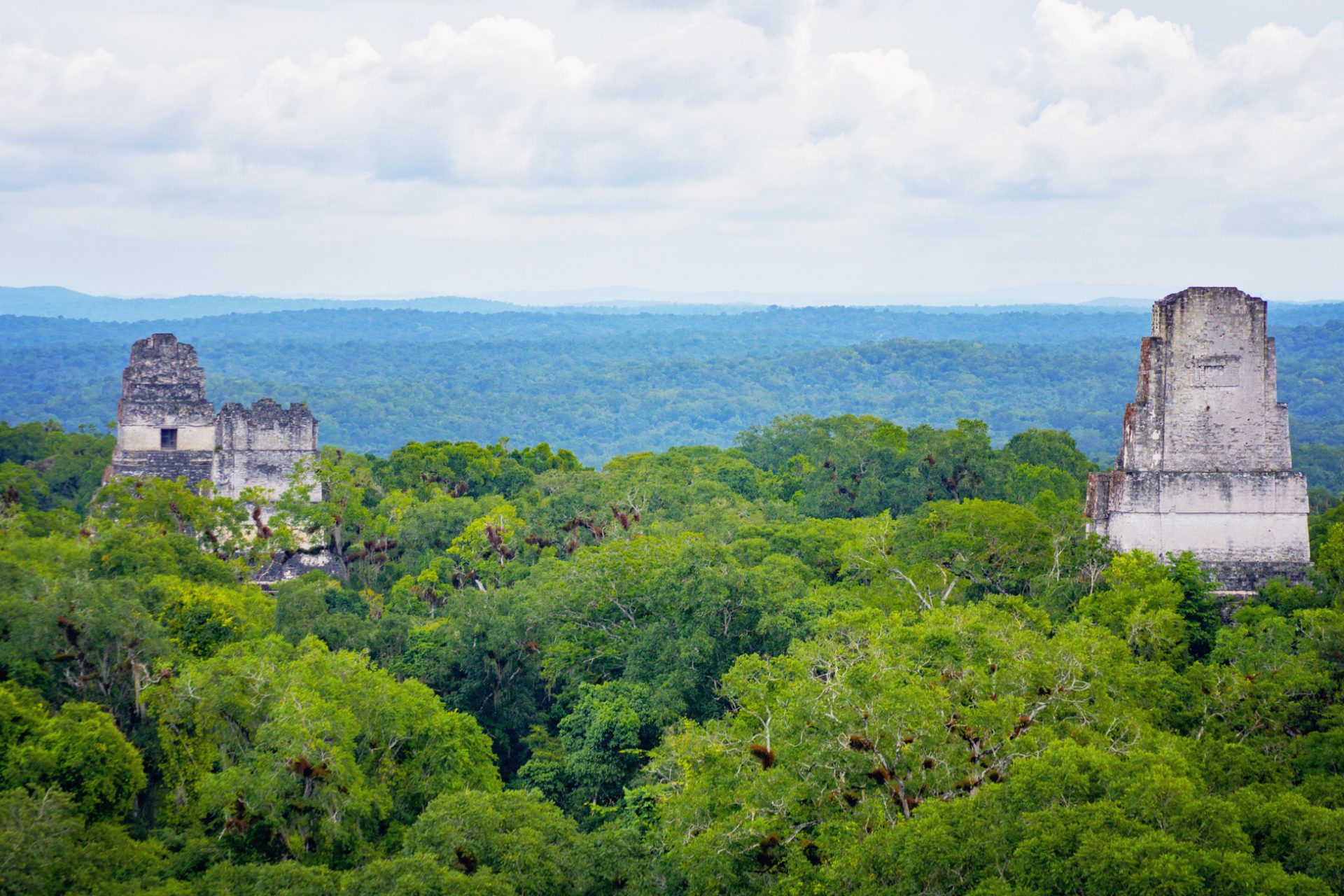 Tikal National Park, Guatemala