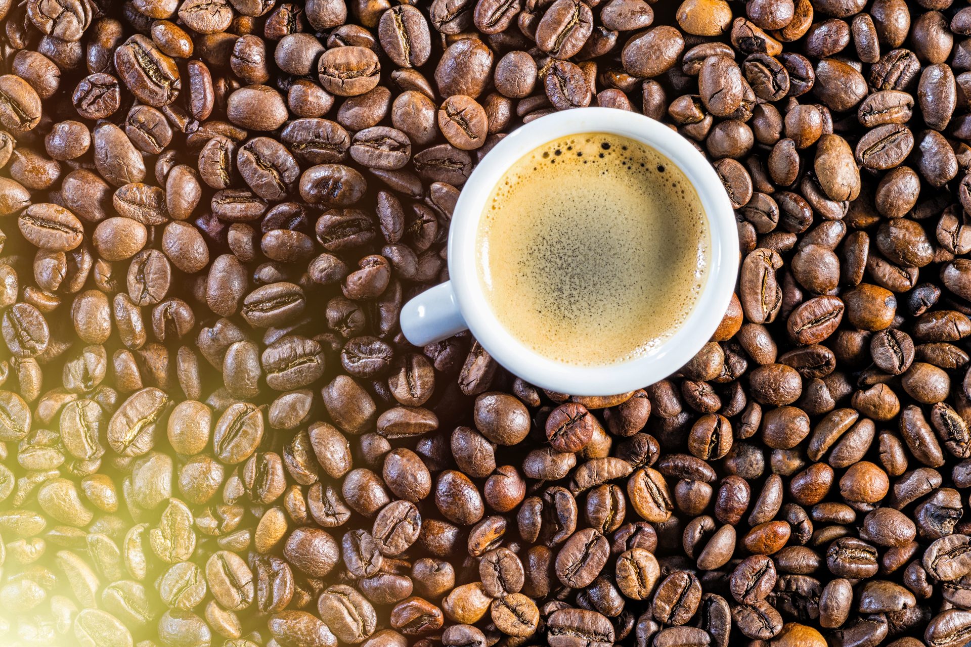 Was ist der beste Kaffee der Welt?