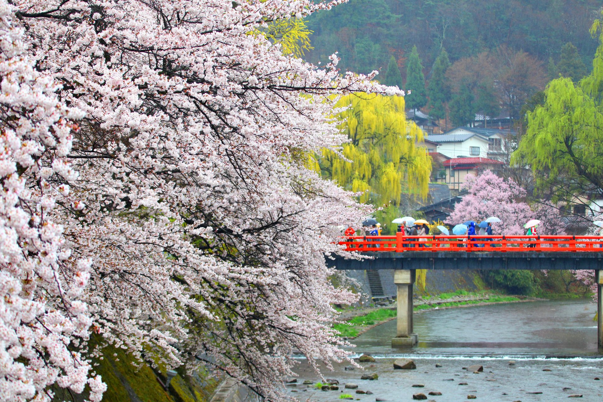The most beautiful spring displays around the world
