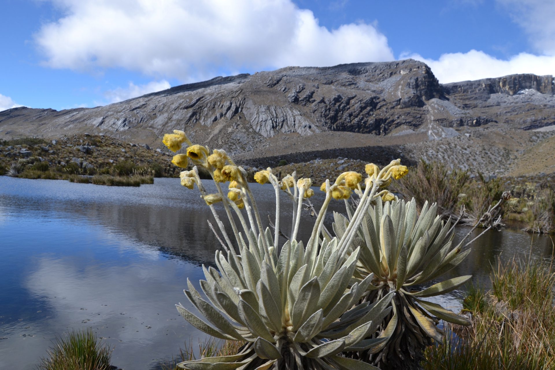 El Cocuy, Colombia