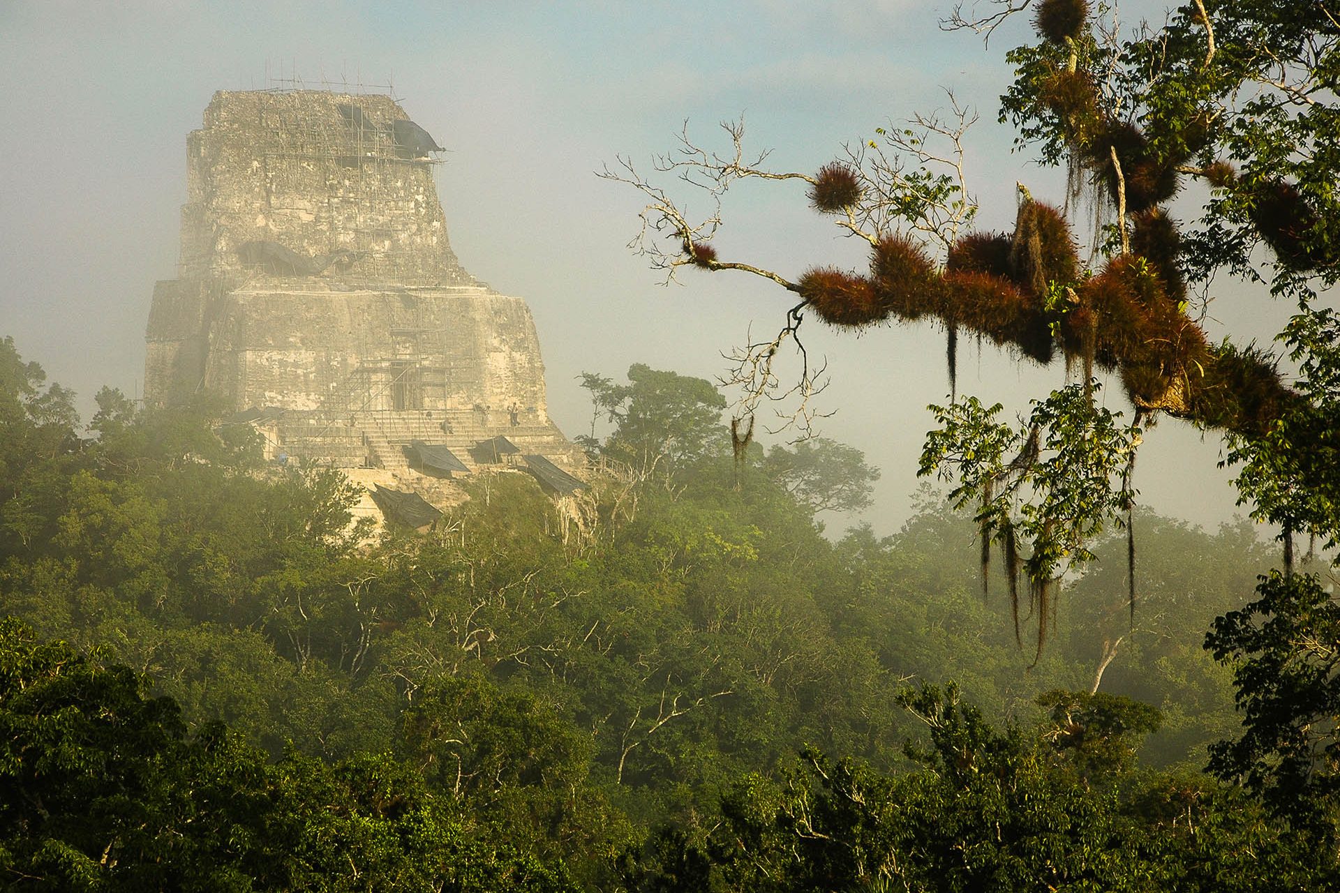 Tikal, la gran ciudad maya de Guatemala