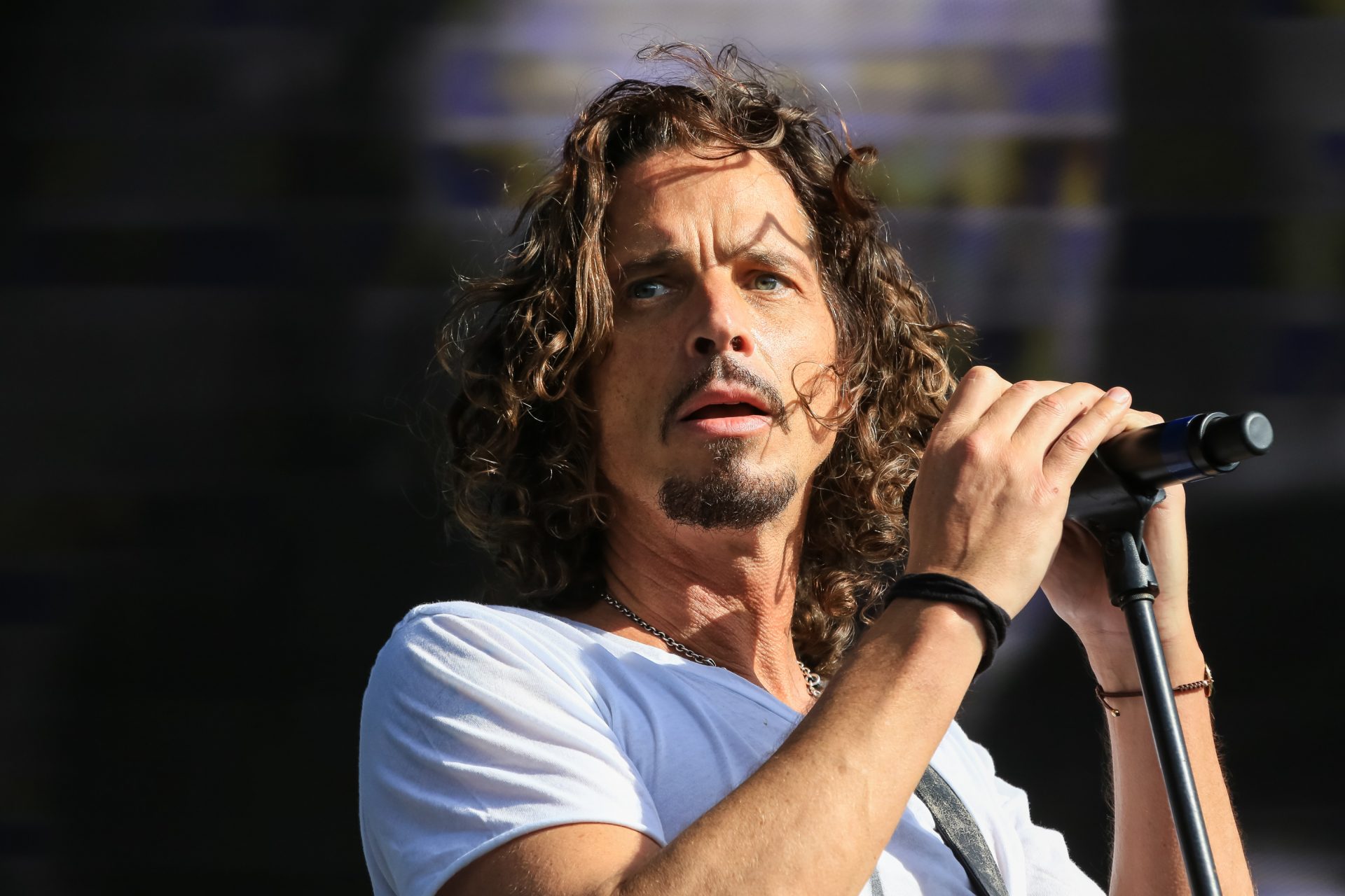 Chris Cornell (Soundgarden)