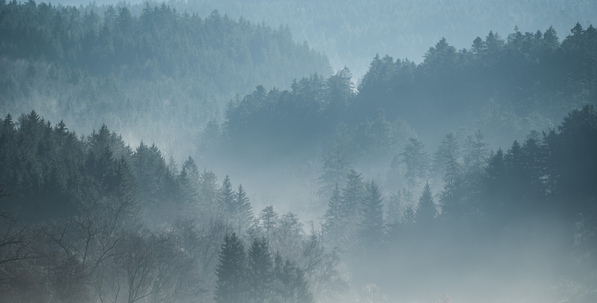 Bosque Hoia Baciu, Rumania