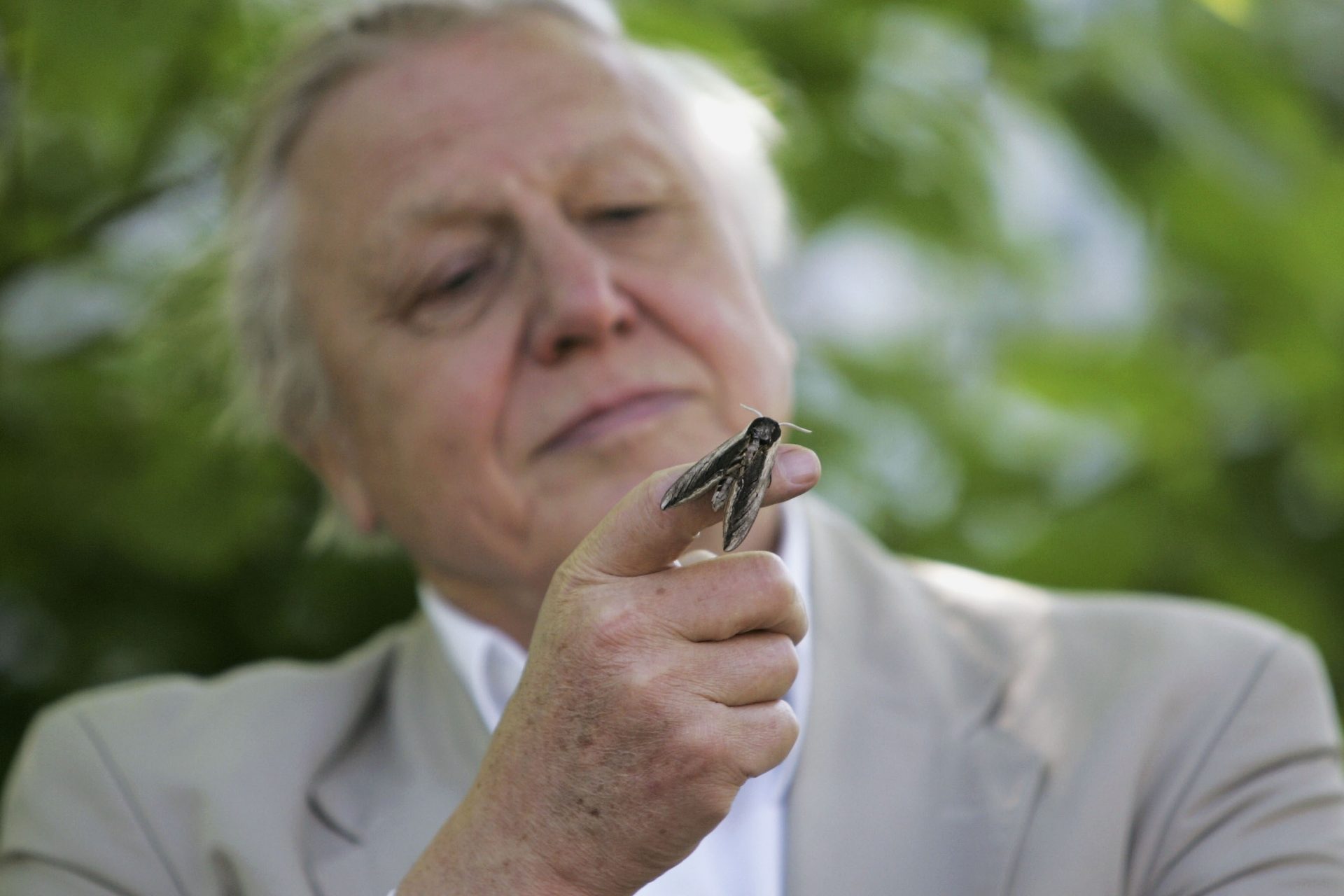 Sir David Attenborough und die BBC