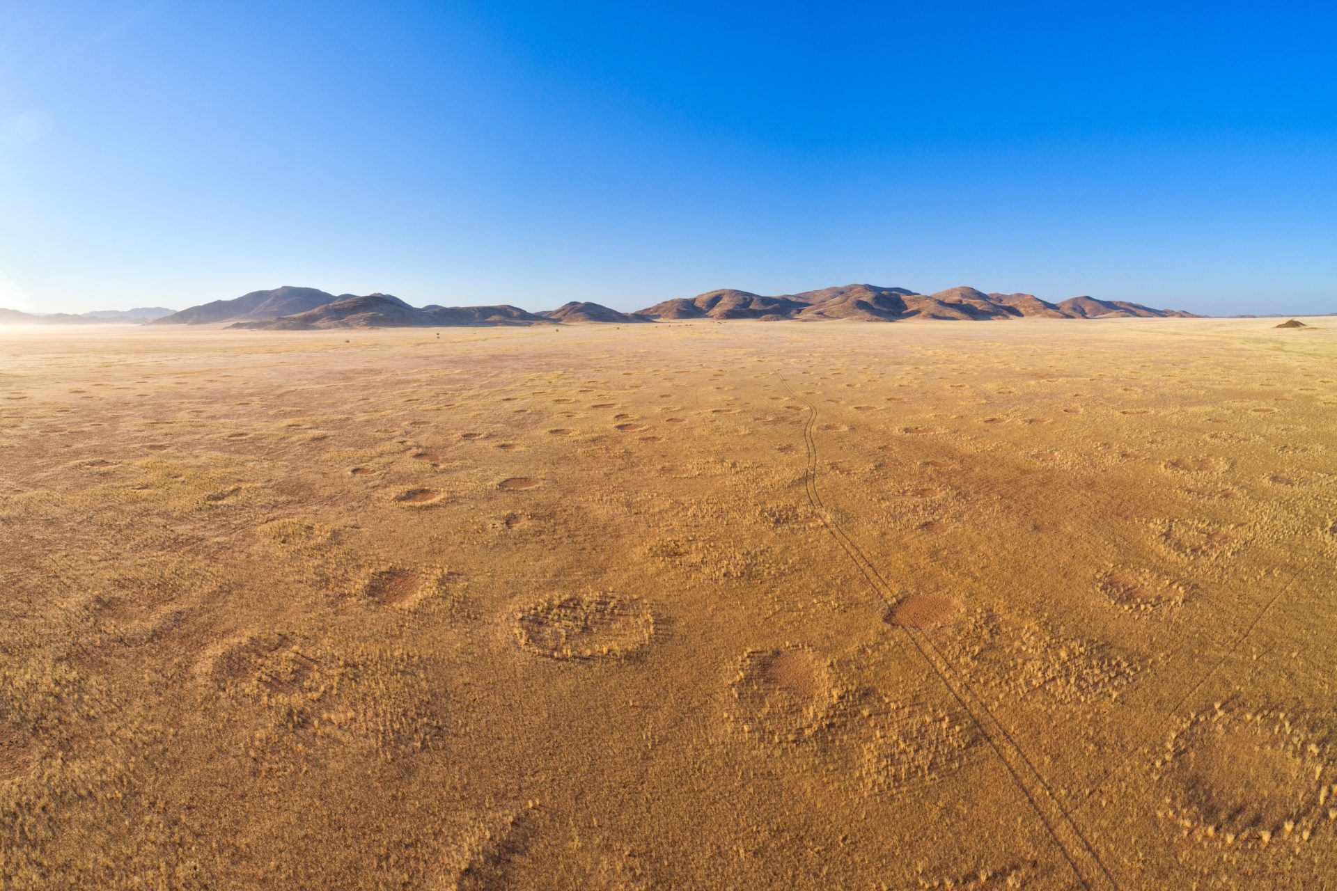 Feenkreise, Namibia