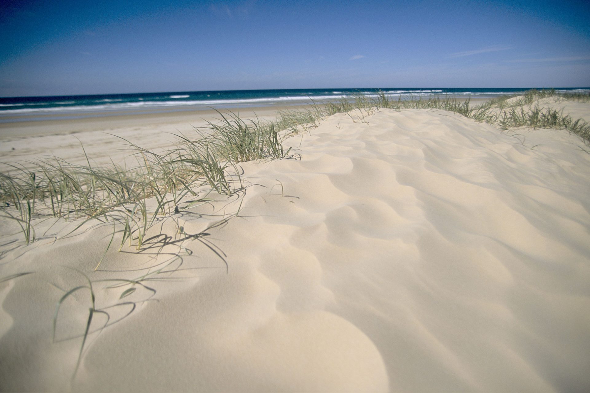 Het strand van K'gari (Australië)