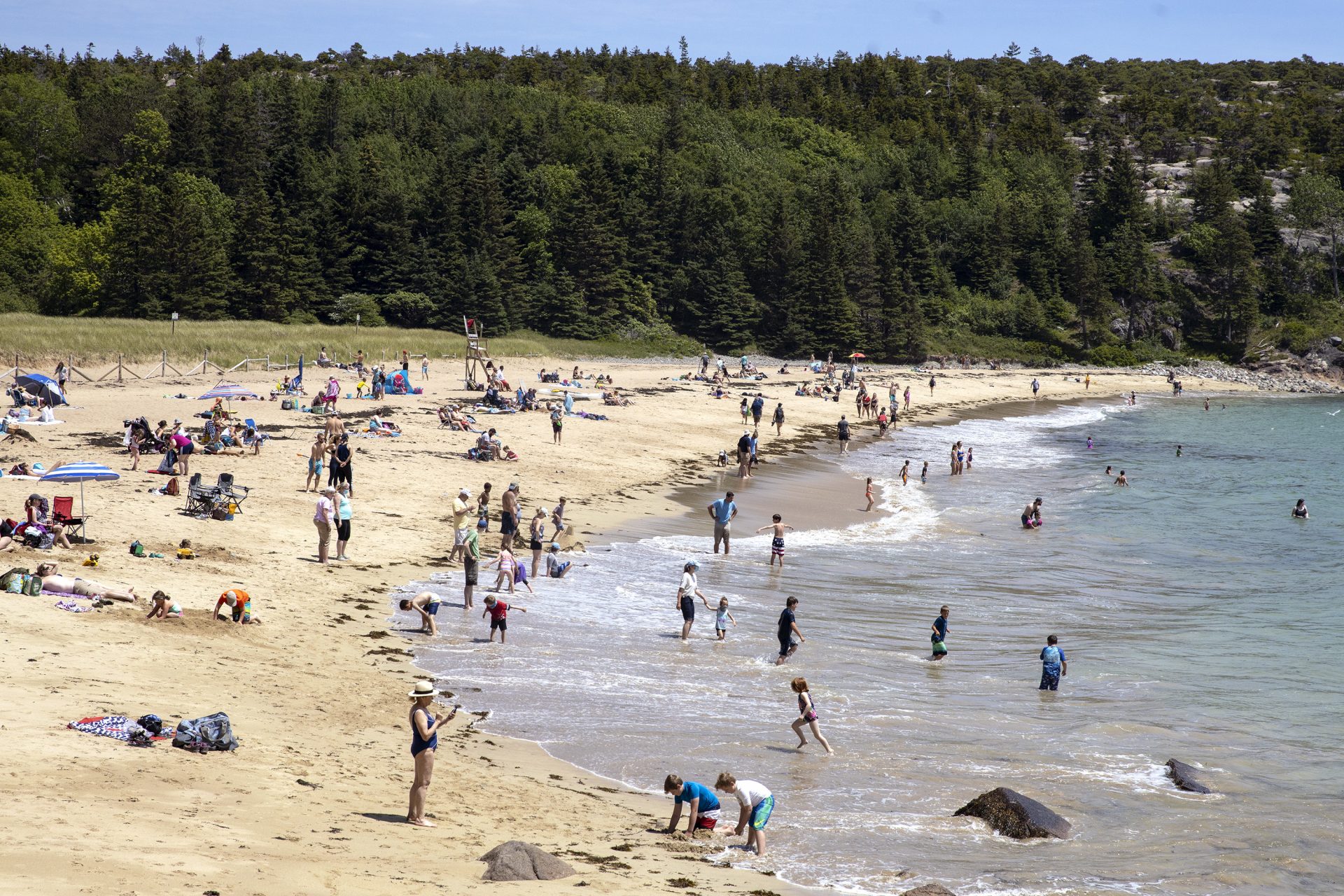 Maine: Sand Beach