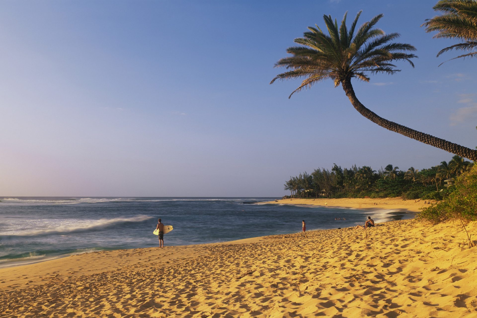 Hawaii: North Shore Beach, Oahu