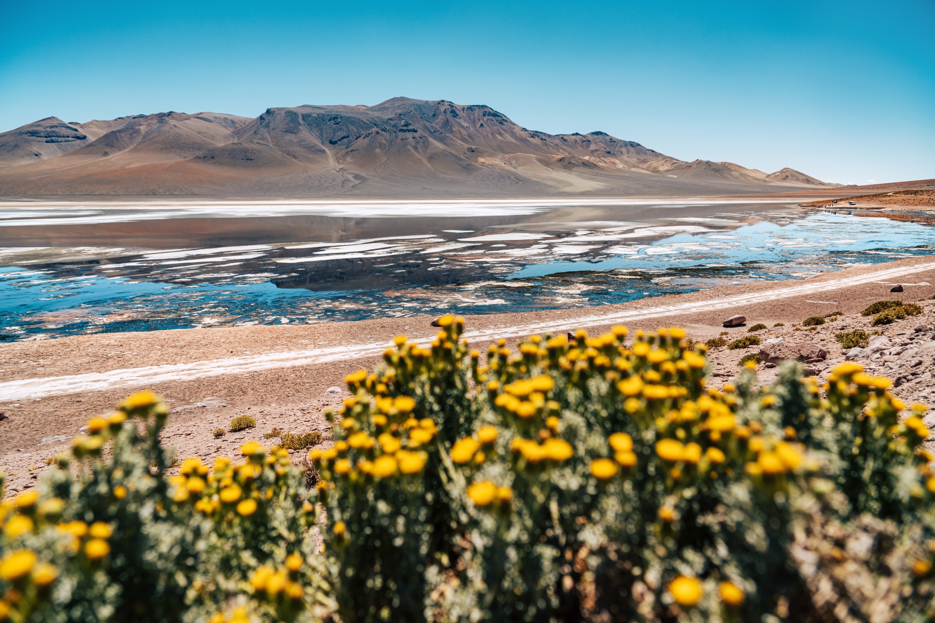 Atacama-Wüste, Chile