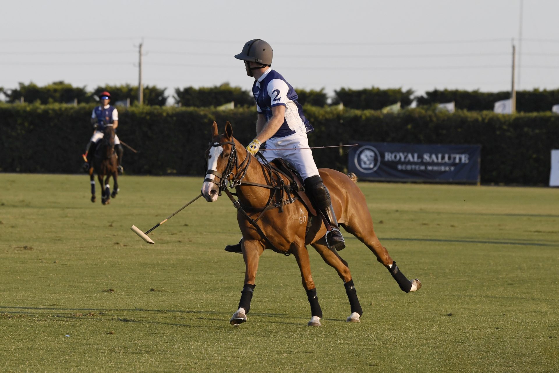 The world of professional polo