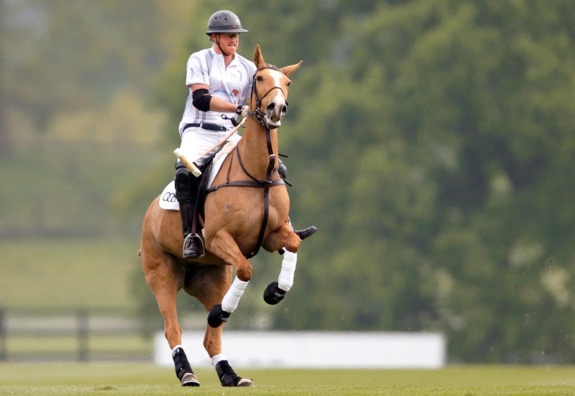 Prince Harry: a delve into Netflix's new Polo series