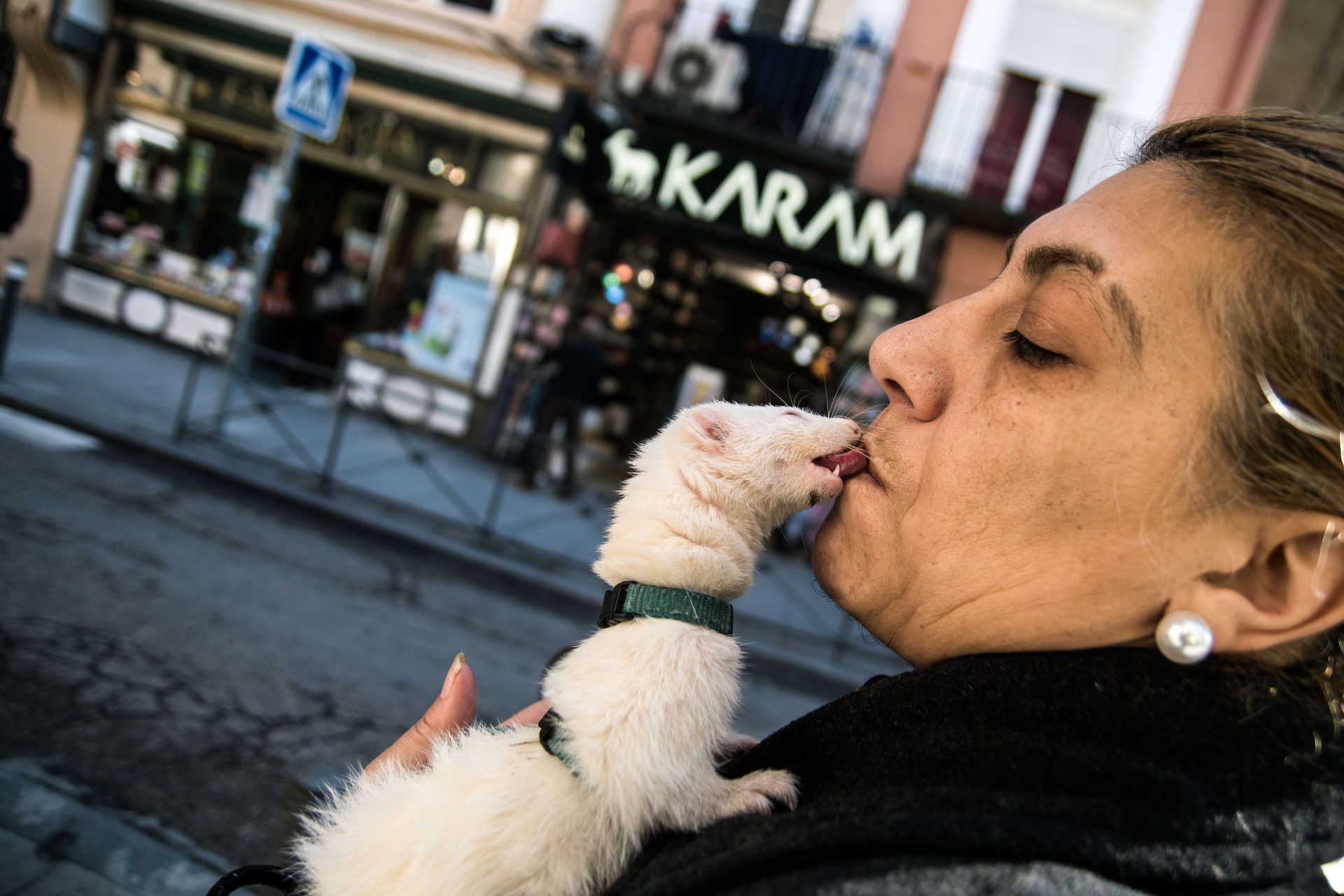 A business of ferrets