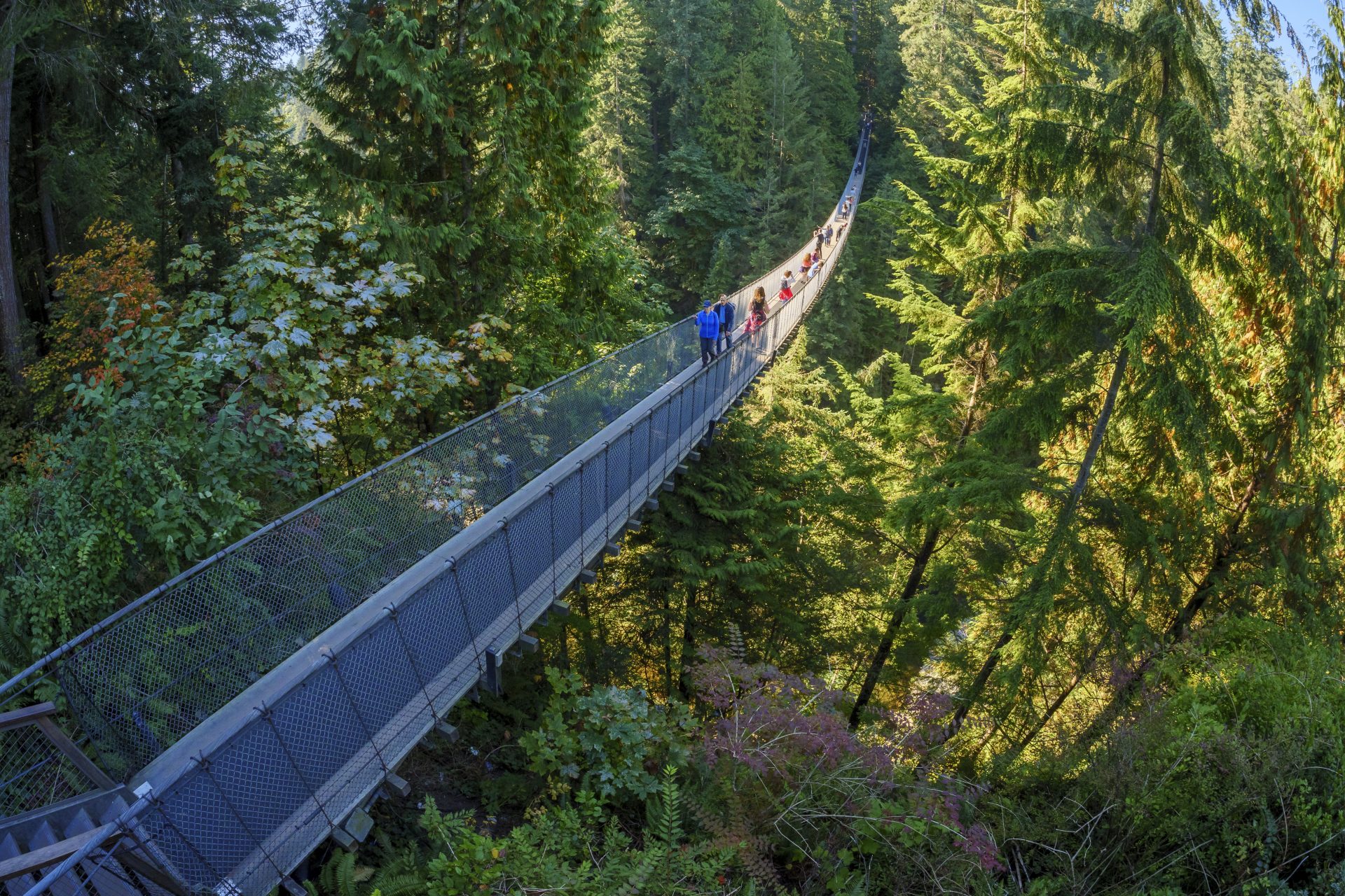 Puente colgante de Capilano (Canadá)