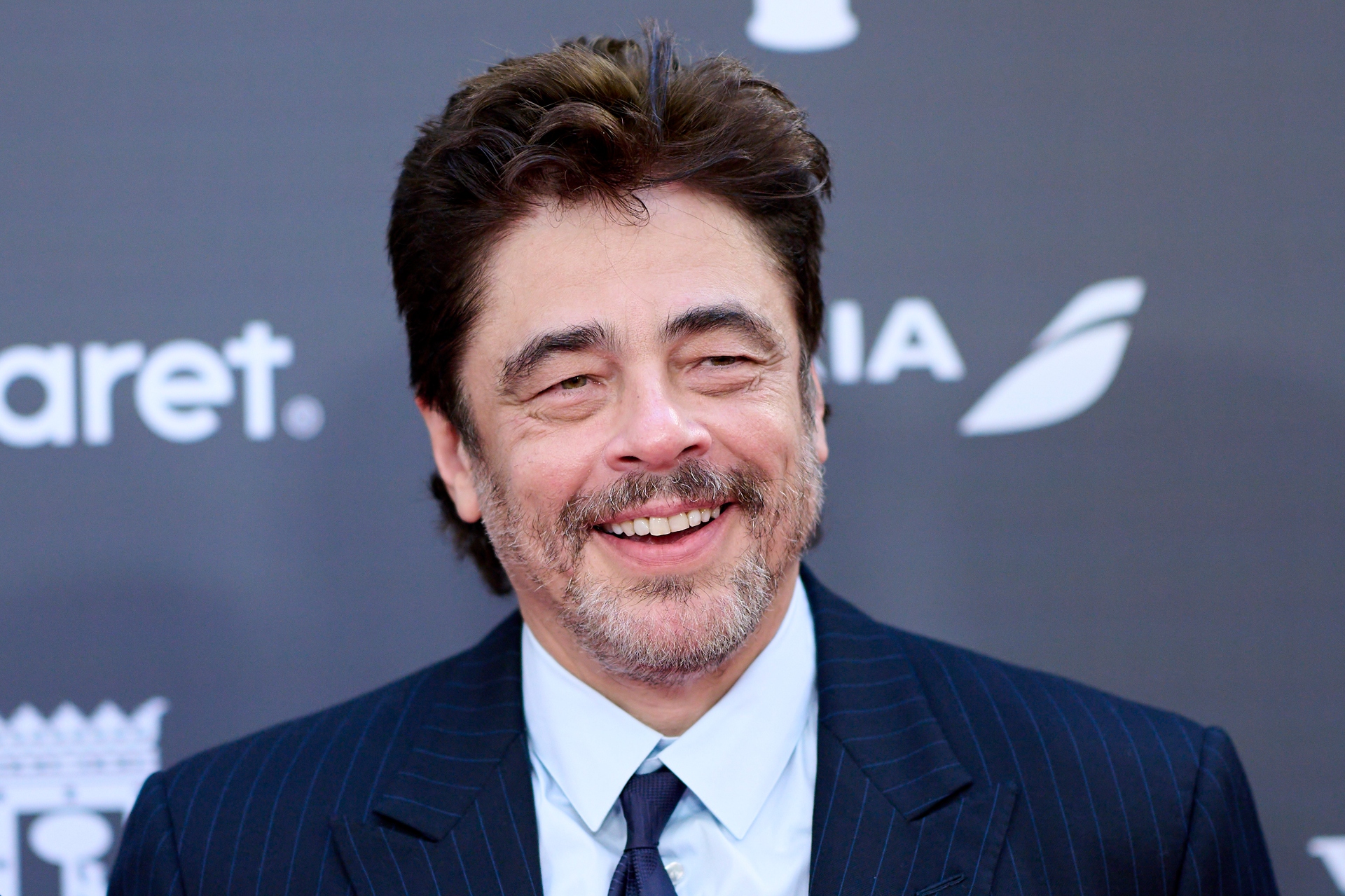 Benicio del Toro