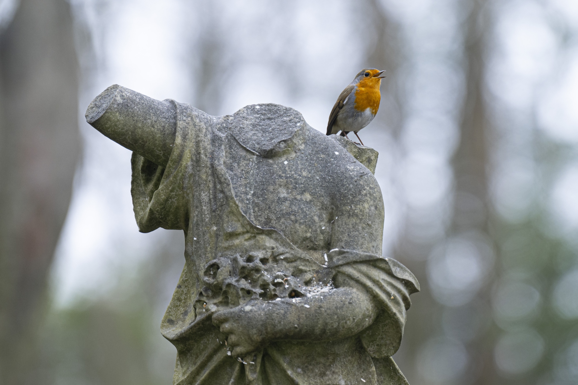 Cementerio de Highgate, Inglaterra