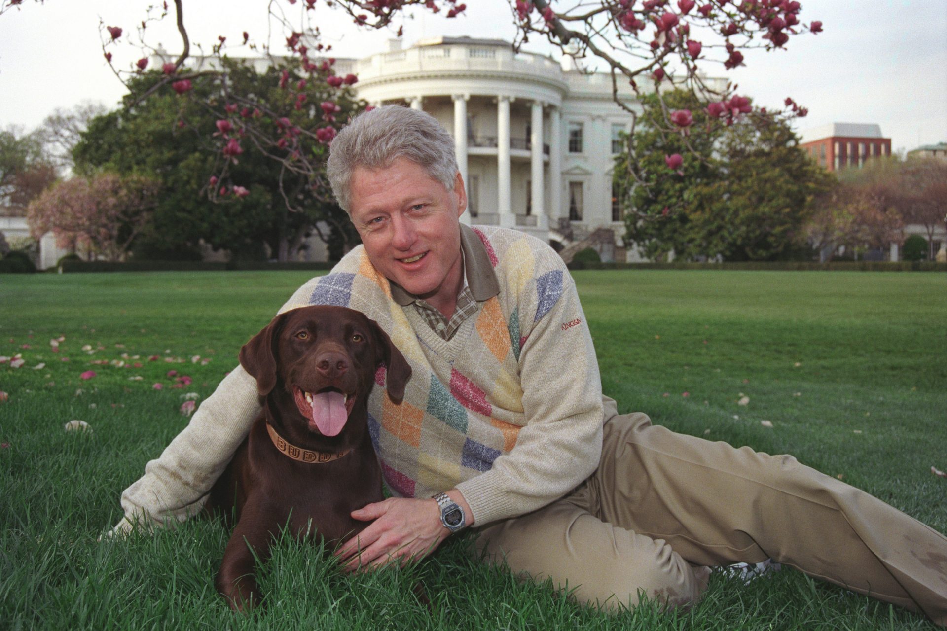Presidential pups: the most famous dogs to have lived in the White House