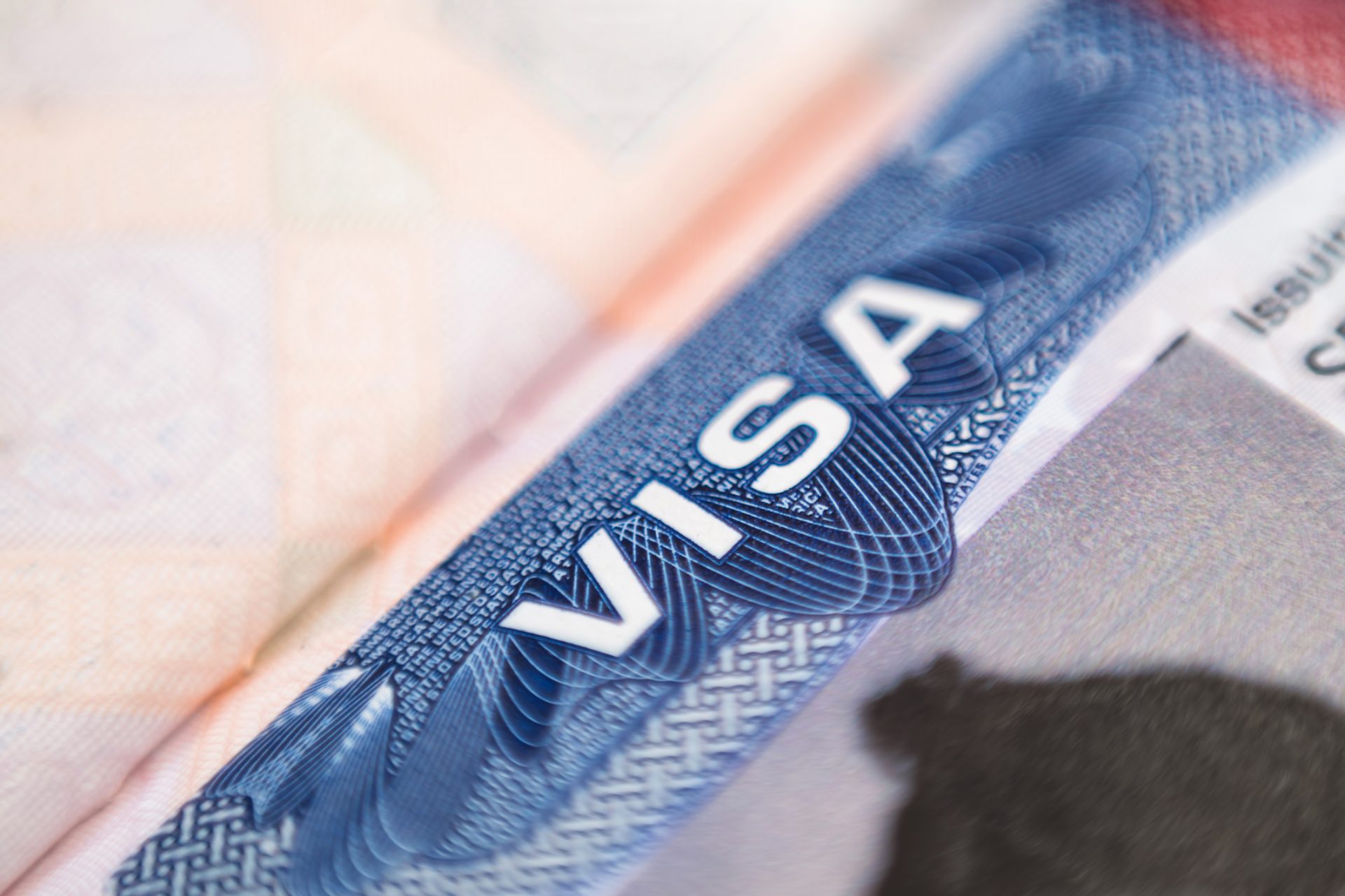 Existen varios tipos de visas
