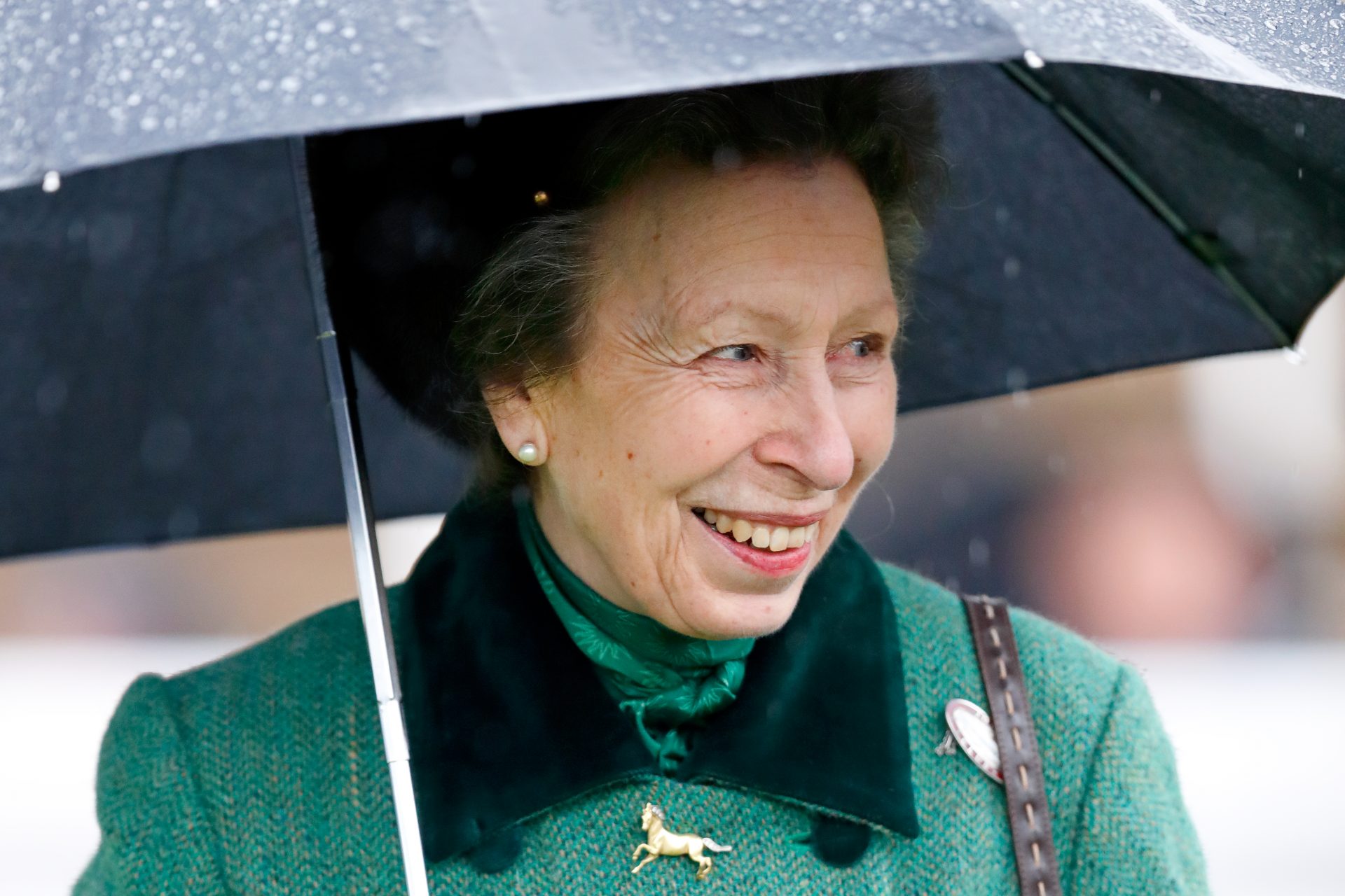 Princess Anne suffering memory loss after horse incident