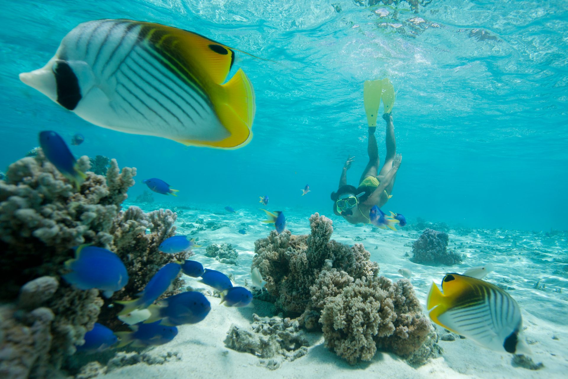 Isla de Moorea (Polinesia Francesa)