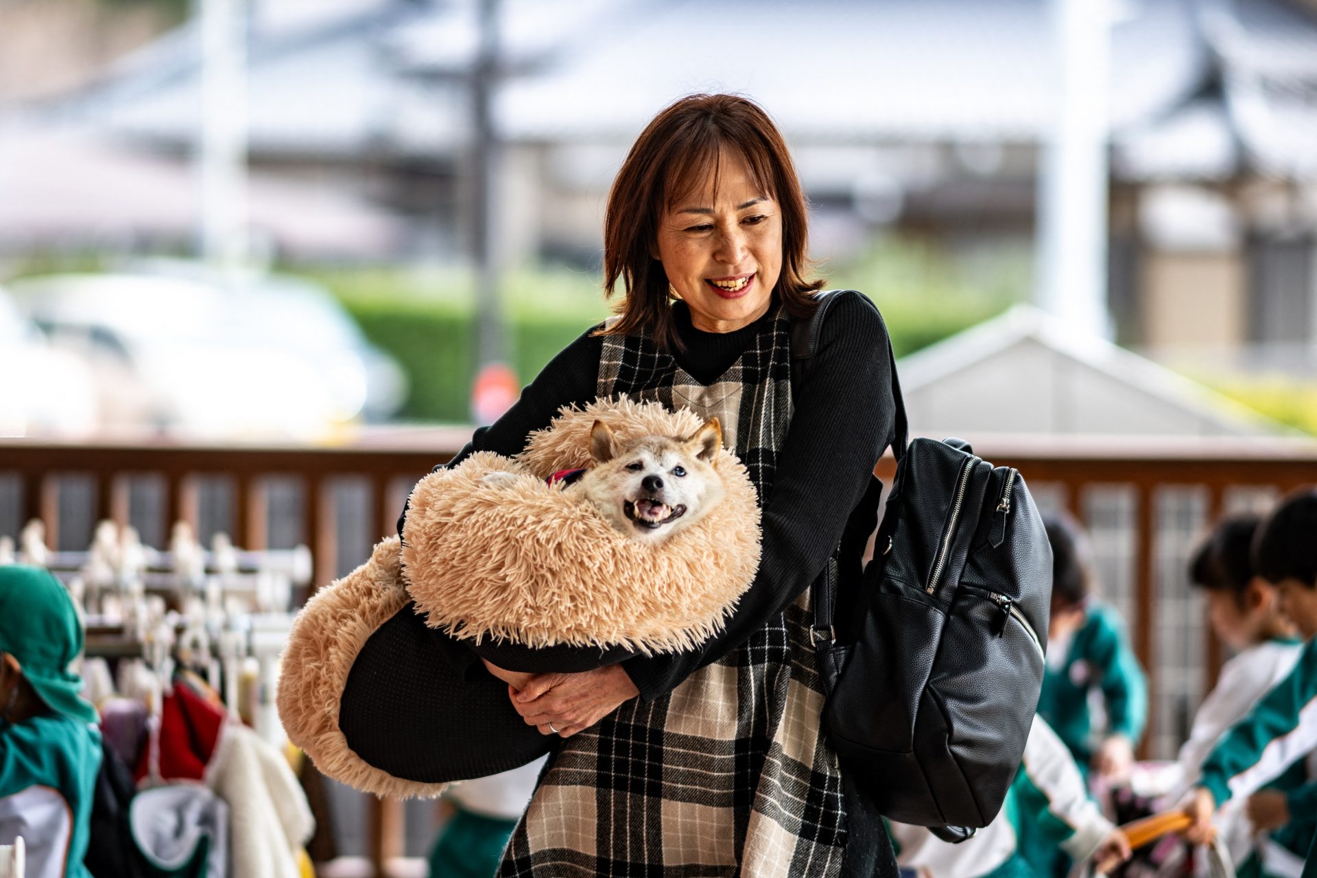 手に職をもつ「はたらく犬」たち：牧羊犬から麻薬探知犬まで...... 犬の職業14選！